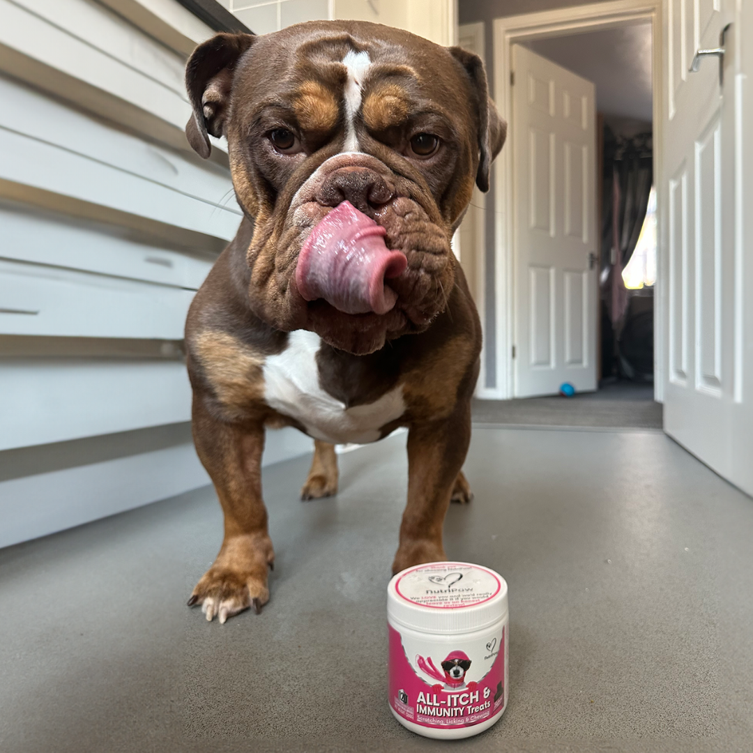 Nutri Paw Facebook ad