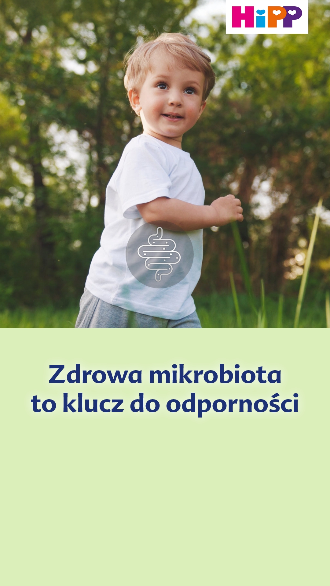 HiPP Polska Facebook ad