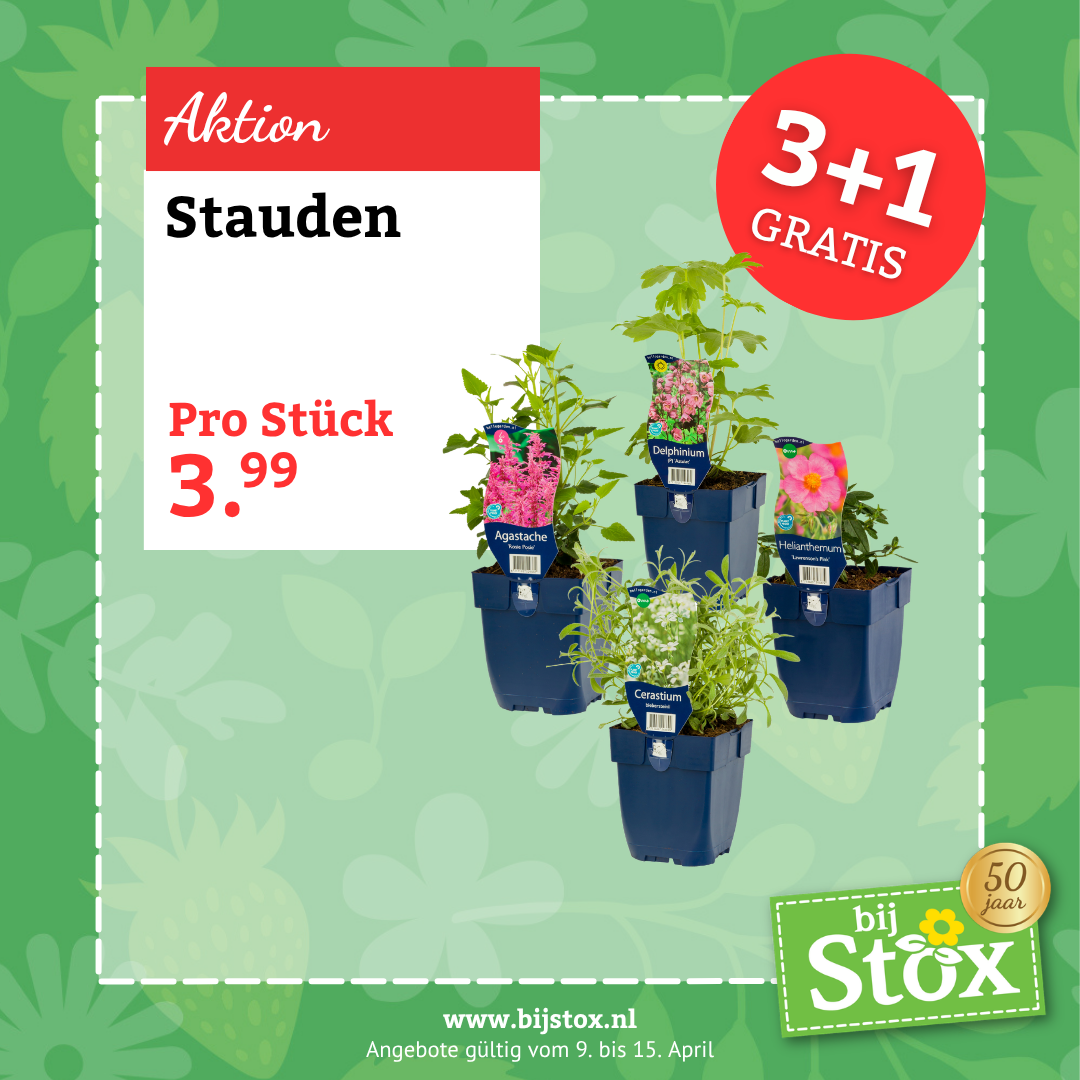 Tuincentrum BijStox Facebook ad