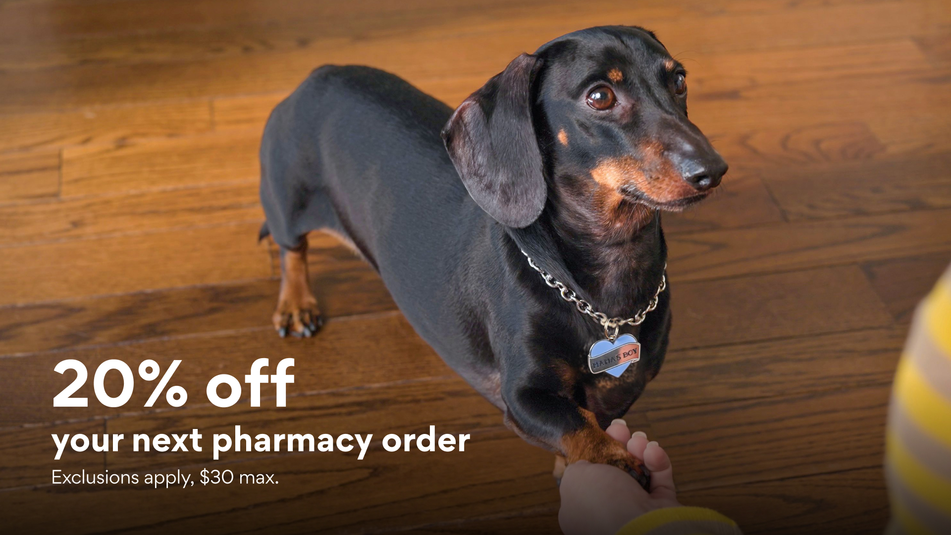 Chewy Facebook ad
