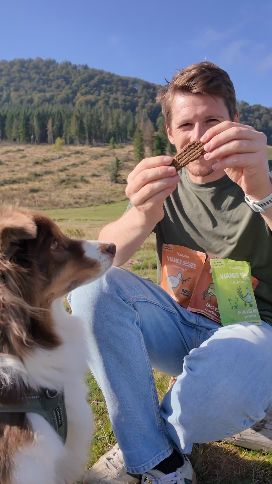 Franklin Pet Food Facebook ad: 3 recettes gourmandes pour lui faire plaisir