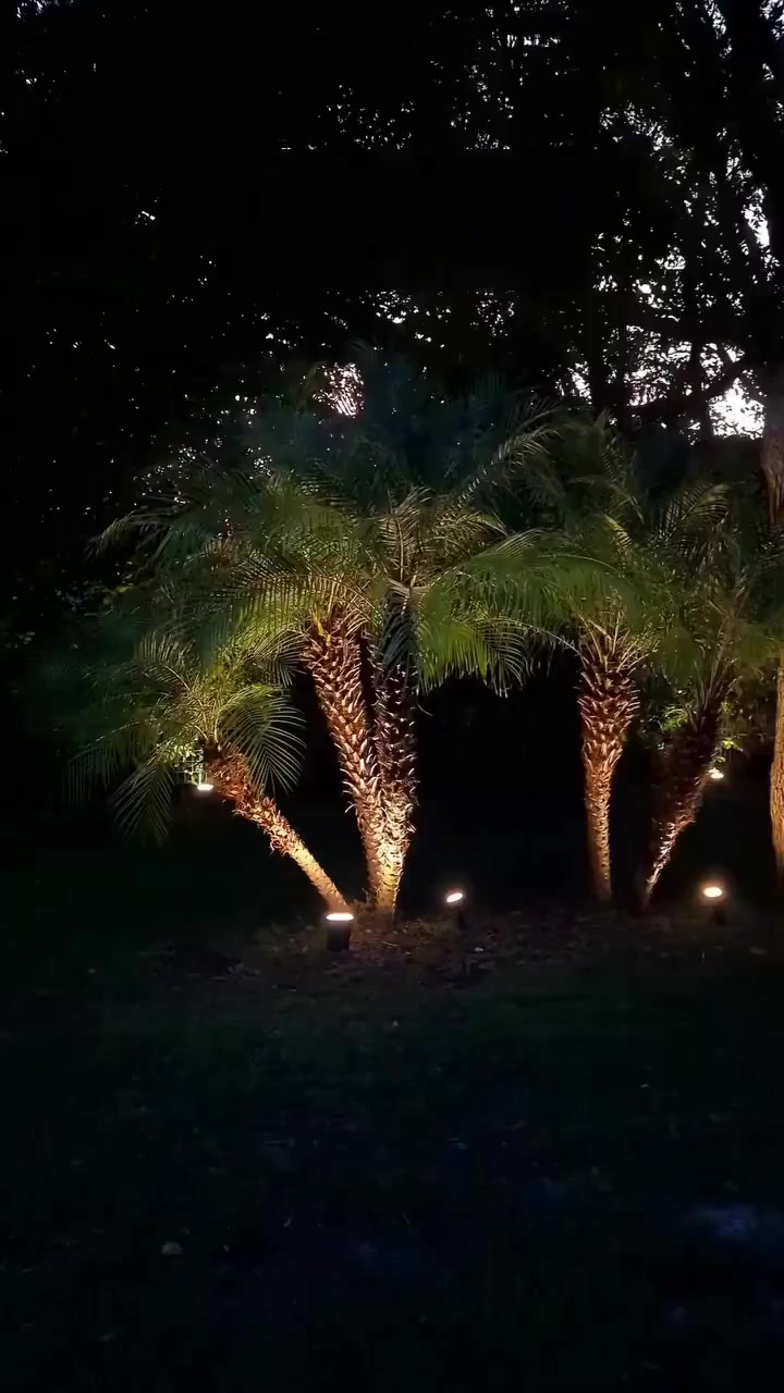 Savemorer.net Facebook ad: Lampes solaires de jardin, 56 LEDs, 3 modes…