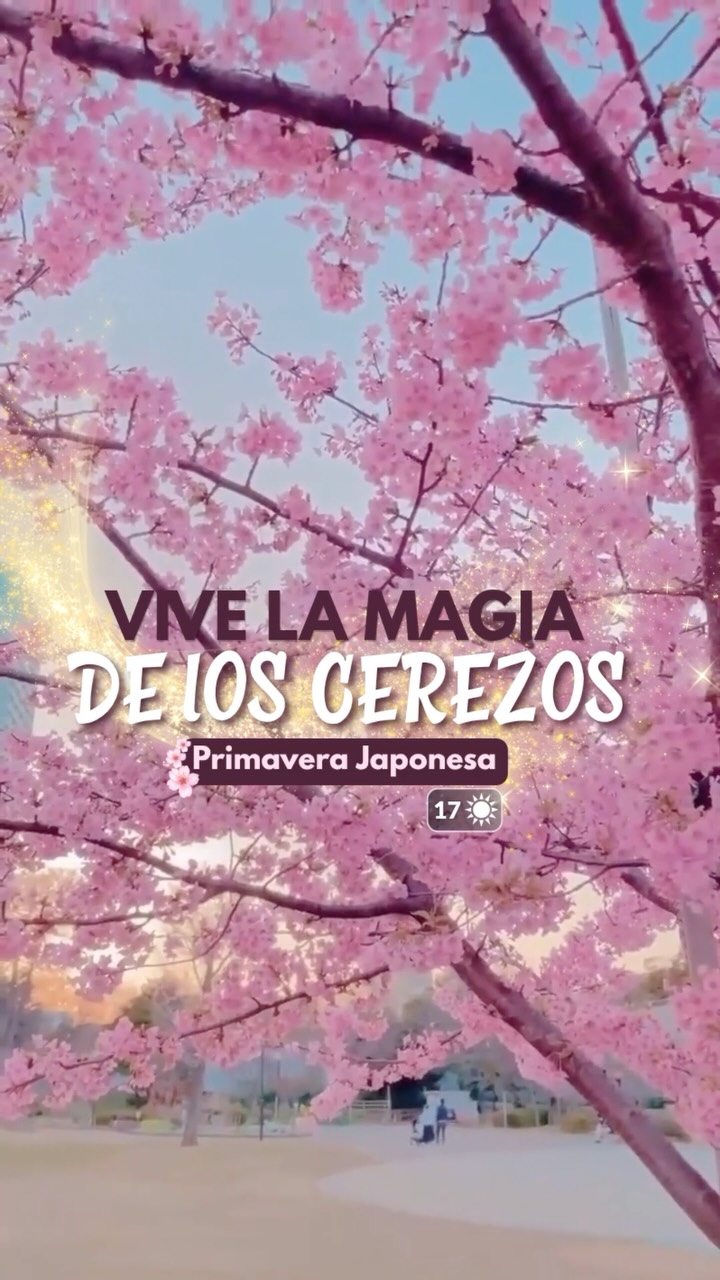 Gente Mayorista de Turismo Col Facebook ad: Japón florece una vez al año… y esta…