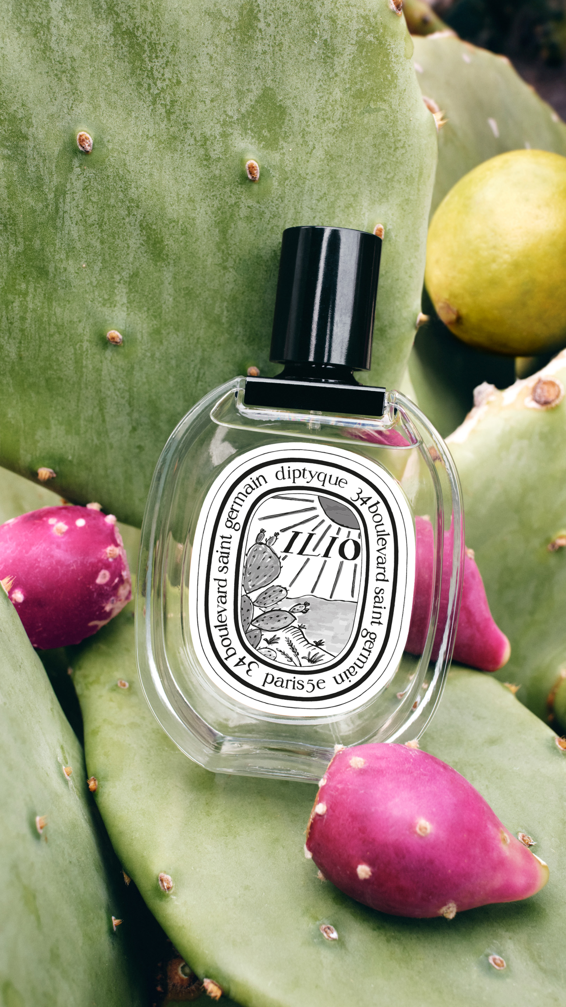 diptyque Facebook ad