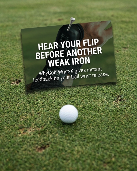 WhyGolf Facebook ad