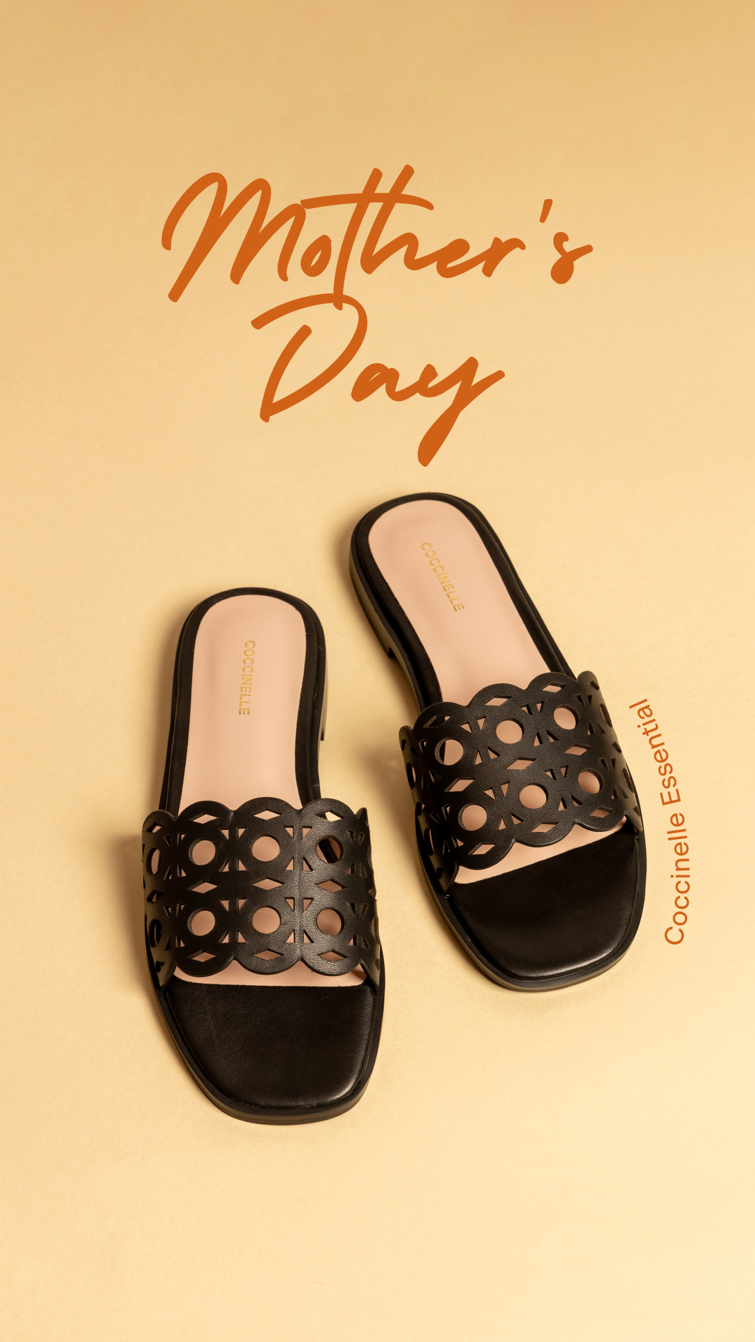 COCCINELLE Facebook ad