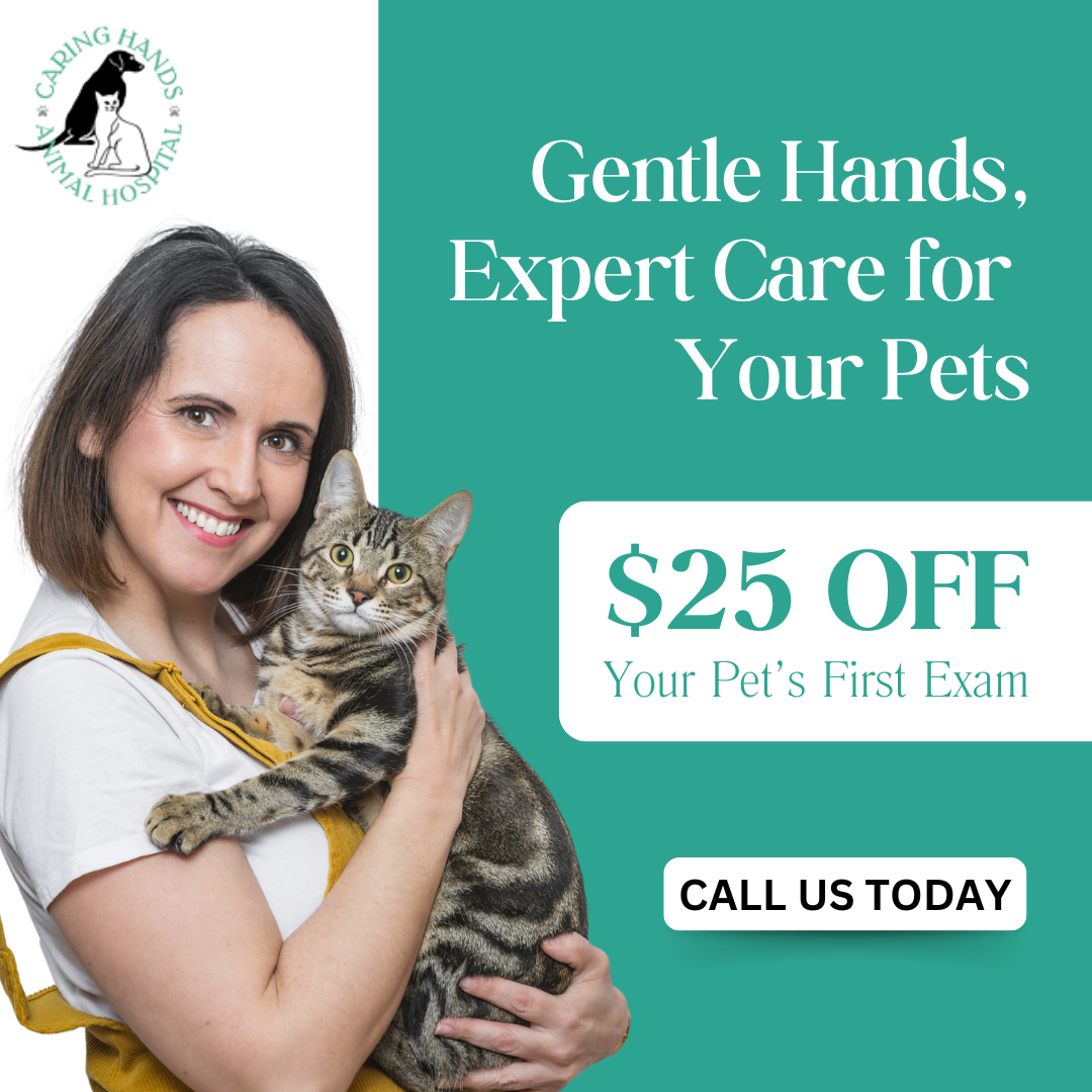 Caring Hands Animal Hospital: Suffolk Facebook ad