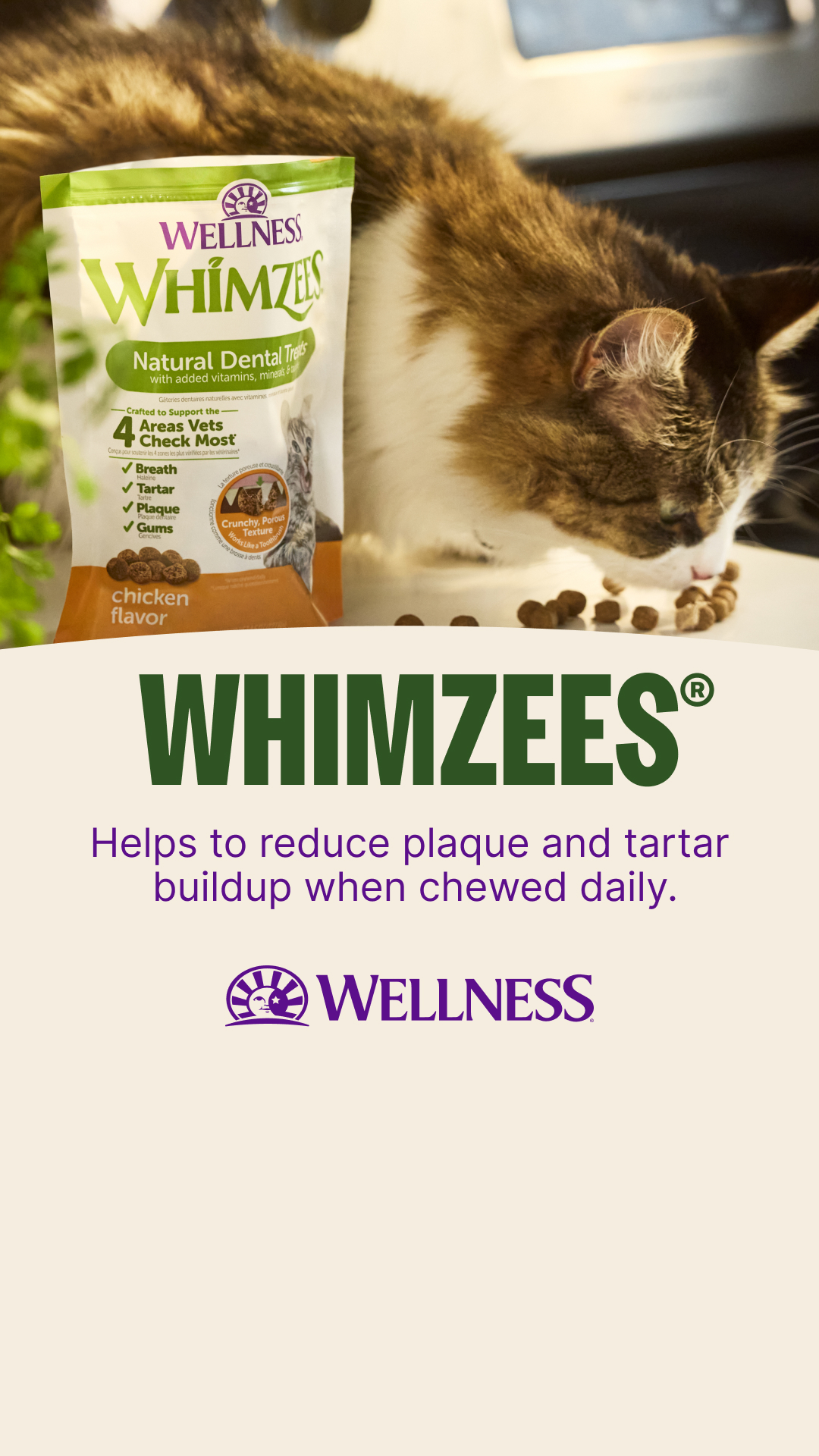 Wellness Pet Food Facebook ad