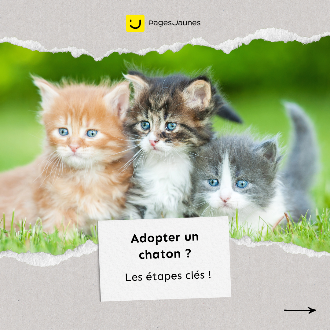 PagesJaunes Facebook ad