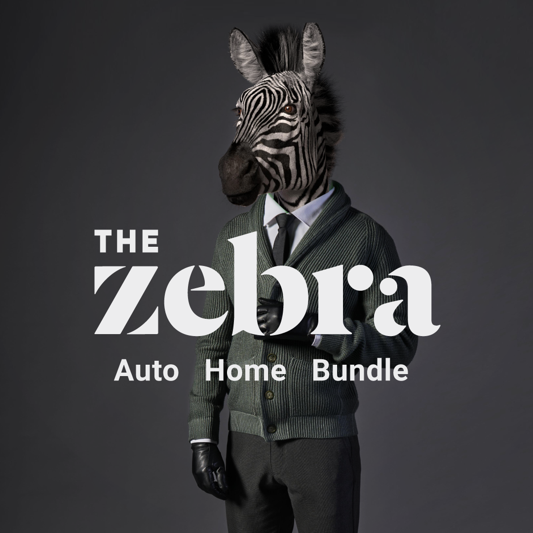 The Zebra Facebook ad