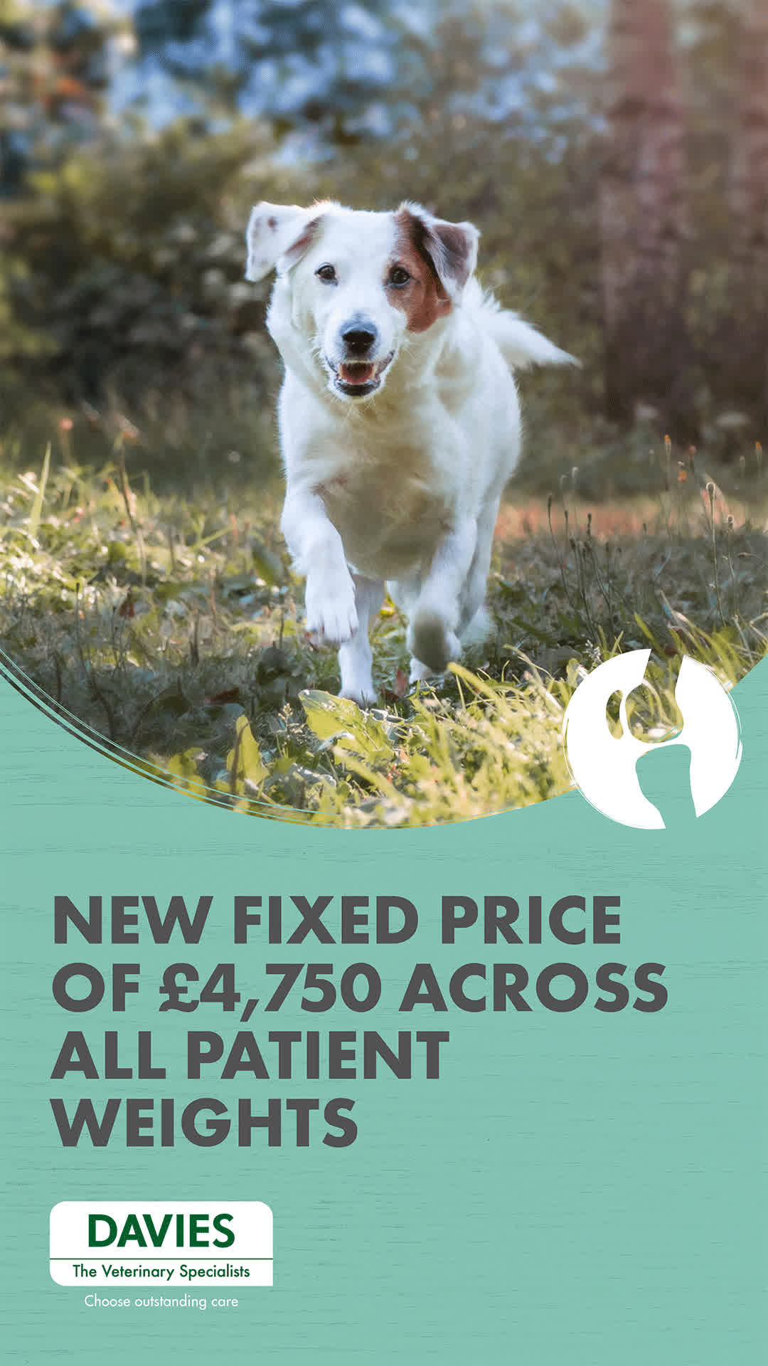 Davies Veterinary Specialists Facebook ad: Learn more and refer