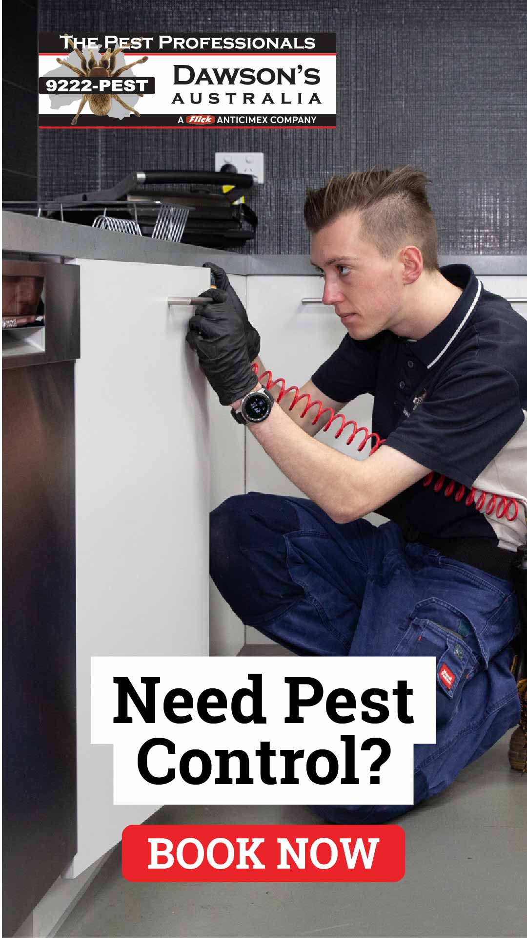 Dawson's Australia Pest Control Facebook ad