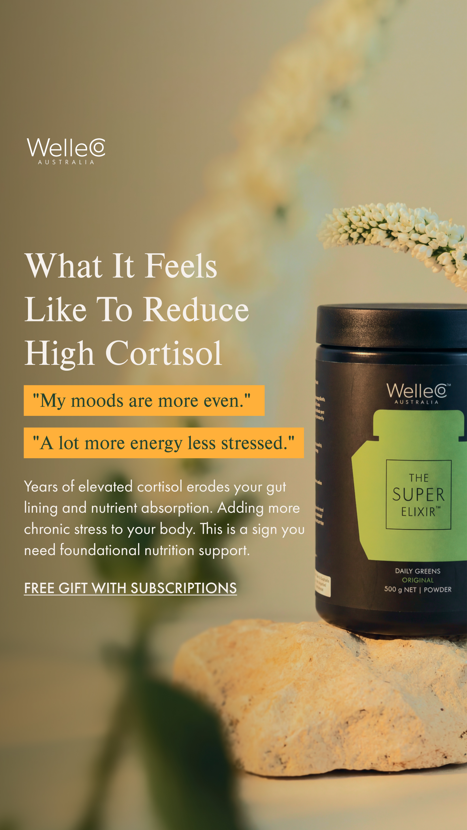 WelleCo Facebook ad