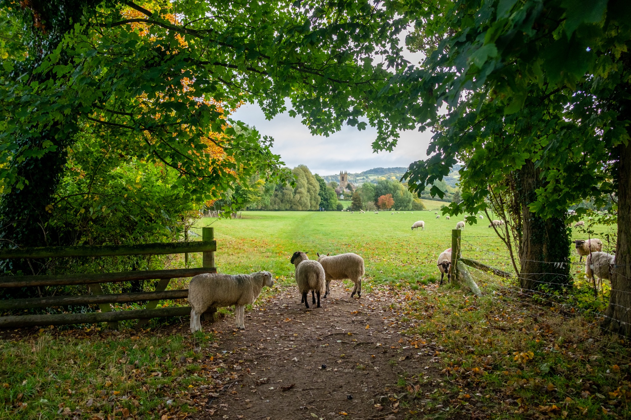 Cotswold Journeys Facebook ad