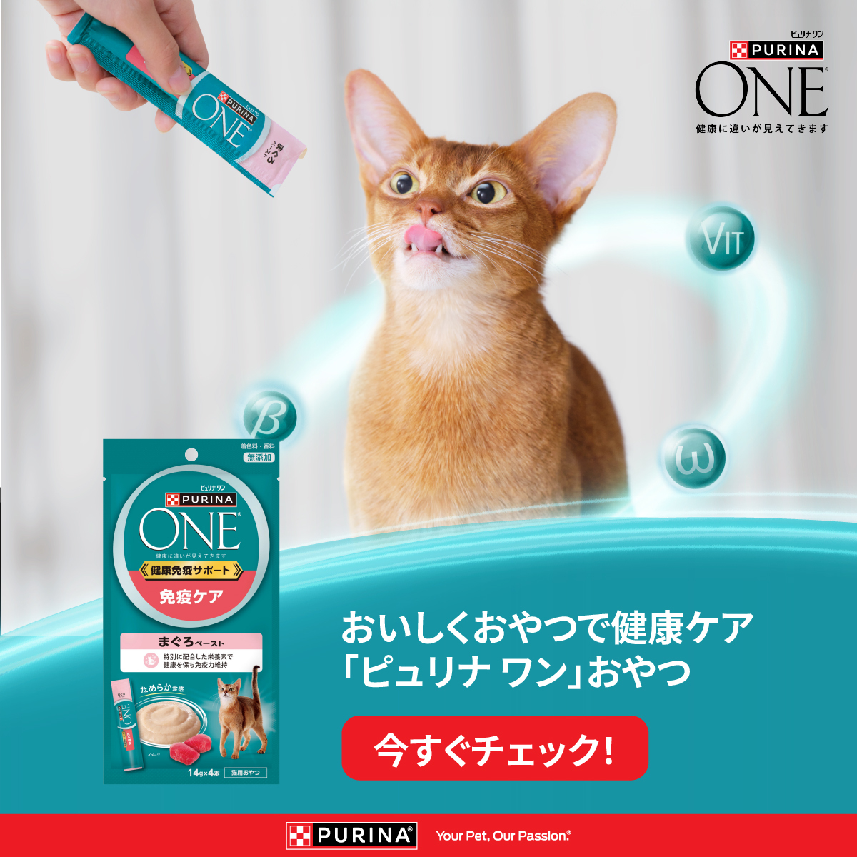 ピュリナ ワン キャット(Purina ONE Cat) Facebook ad: 「ピュリナ ワン」健康免疫サポートおやつ登場 | ピュリナ ワン キャット 公式サイト