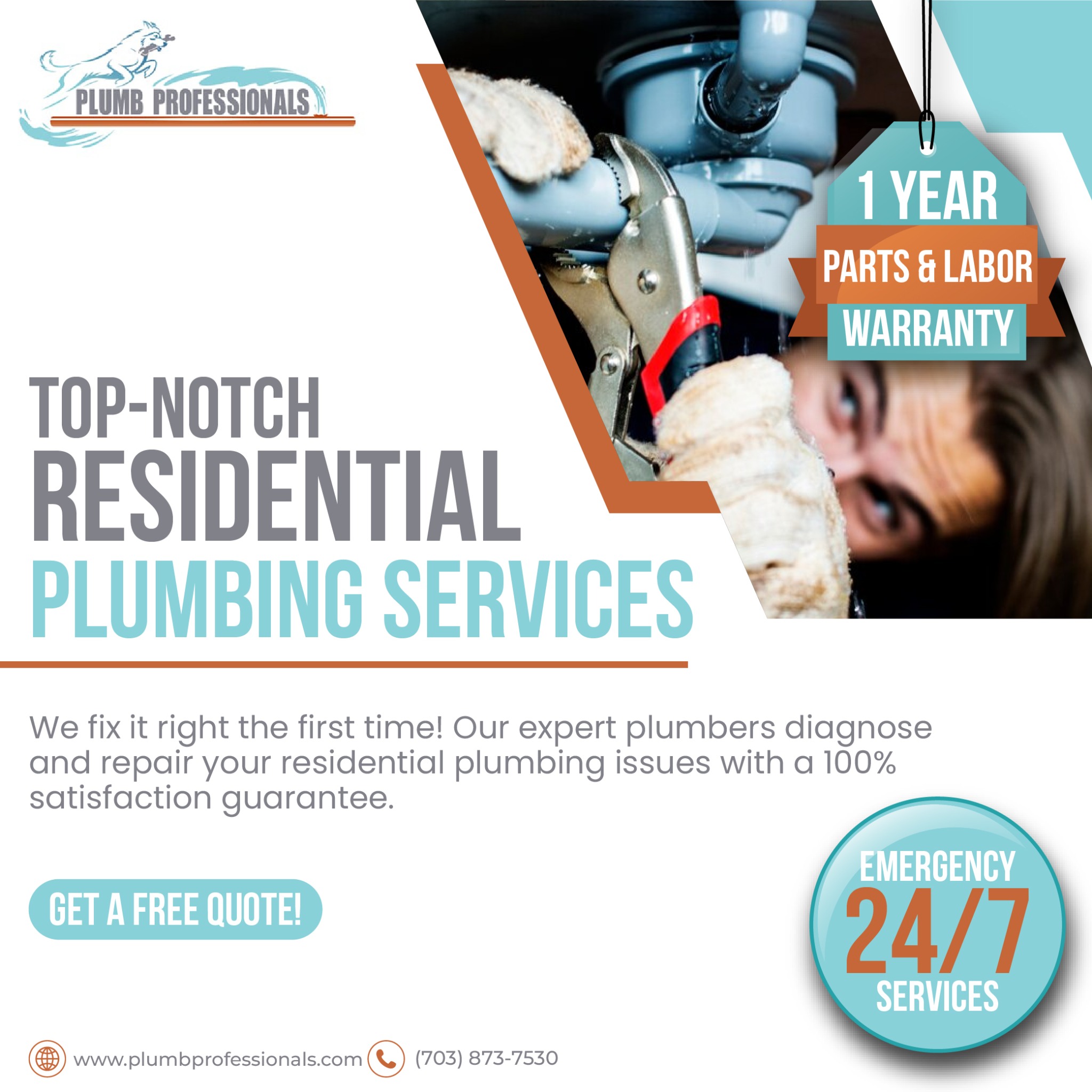 Plumb Professionals LLC Facebook ad: Trusted Plumbing Services in Northern Virginia!