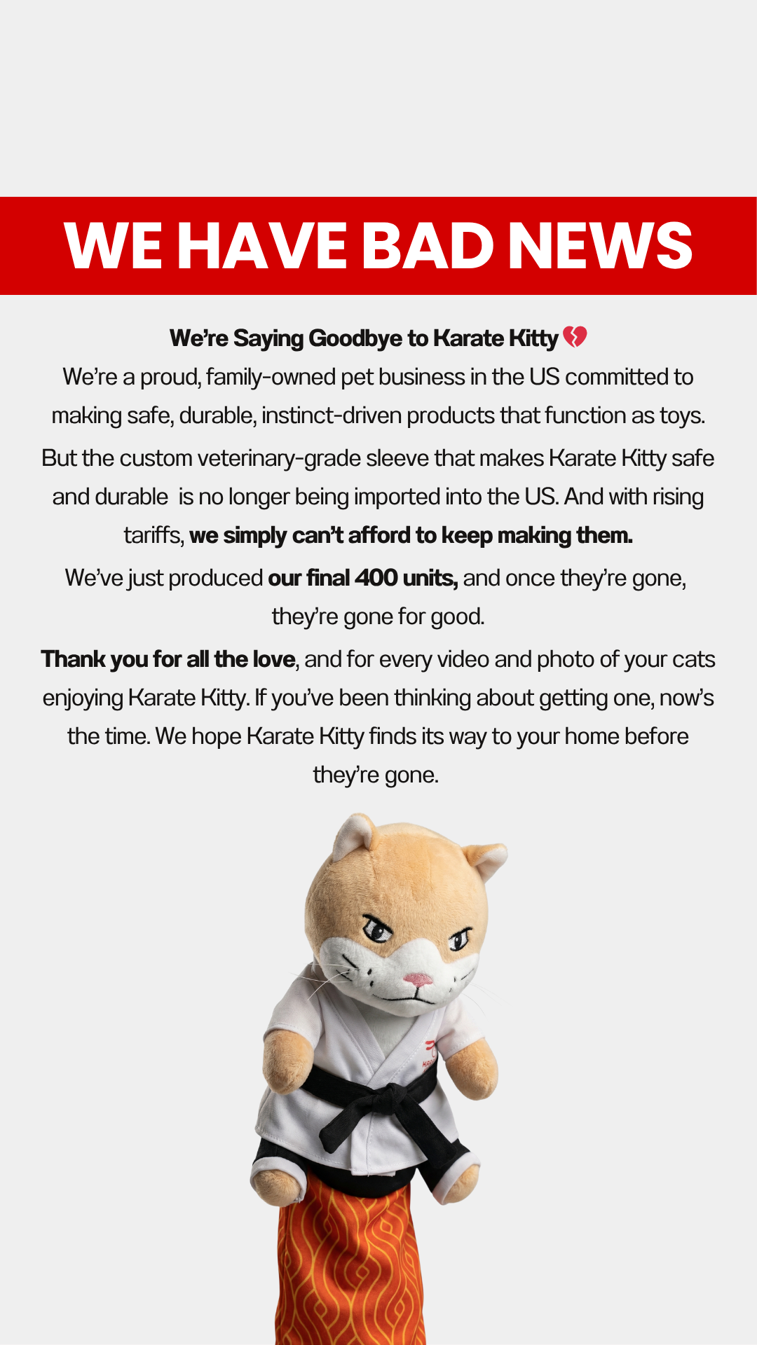 Karate Kitty Facebook ad