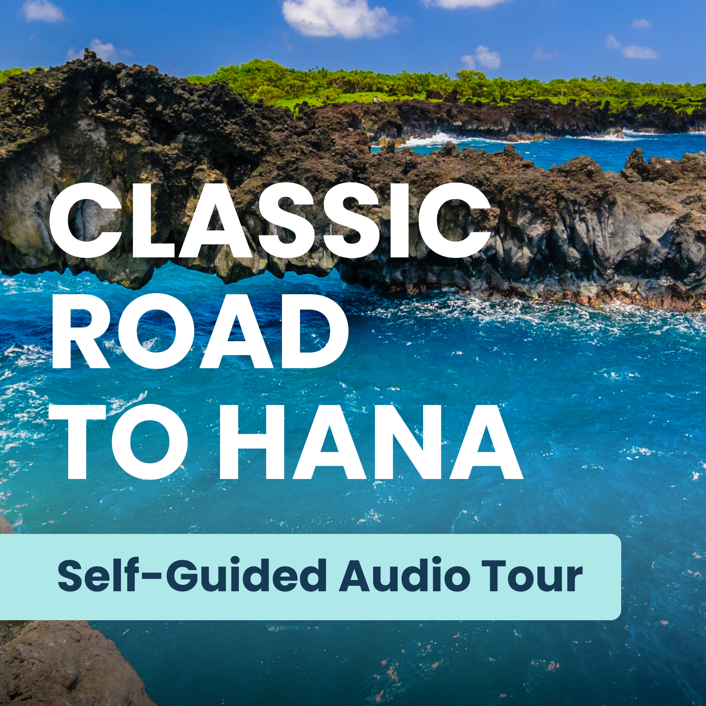 Shaka Guide App Facebook ad