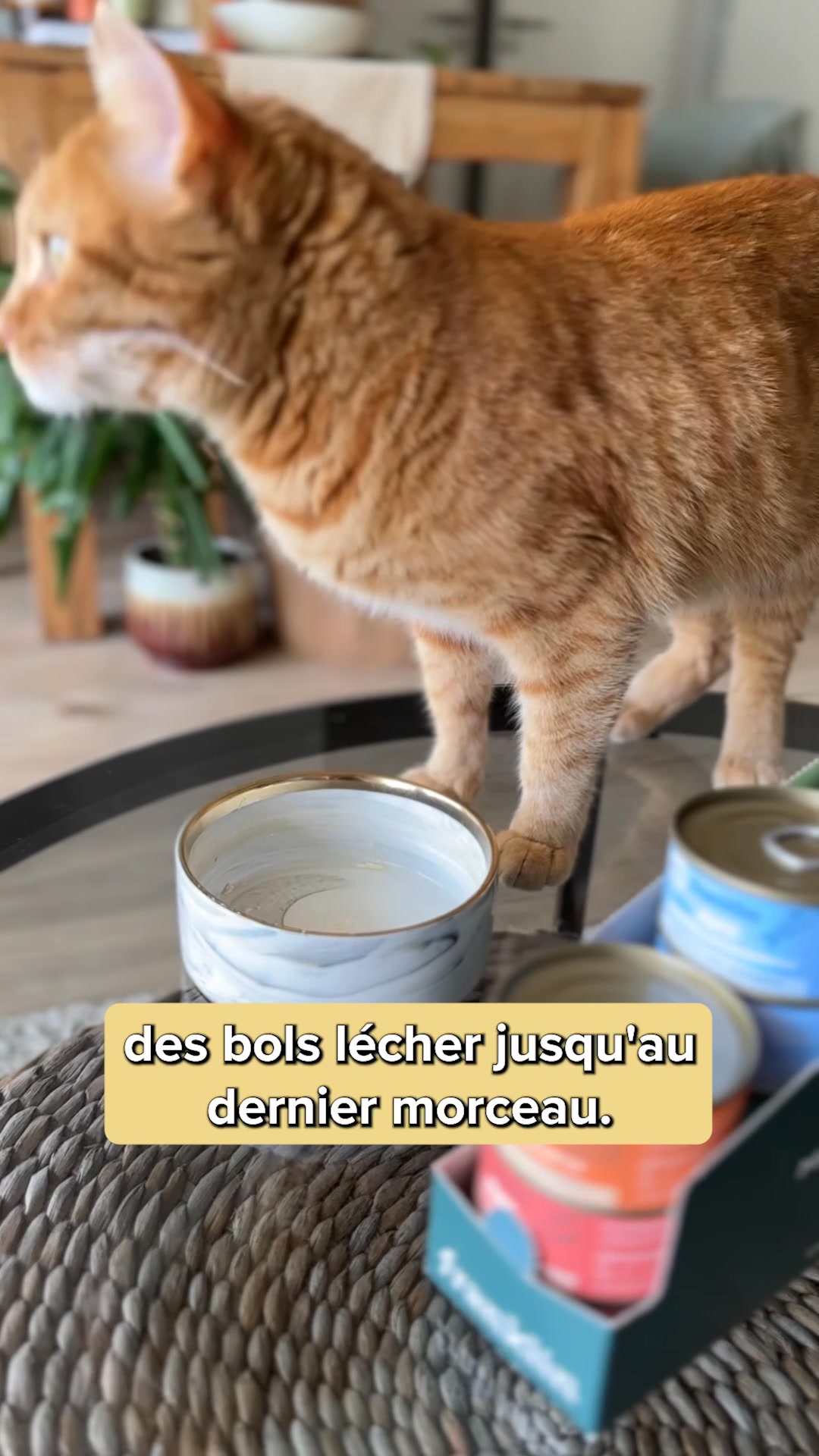 Franklin Pet Food Facebook ad: Nouvelle gamme de filets