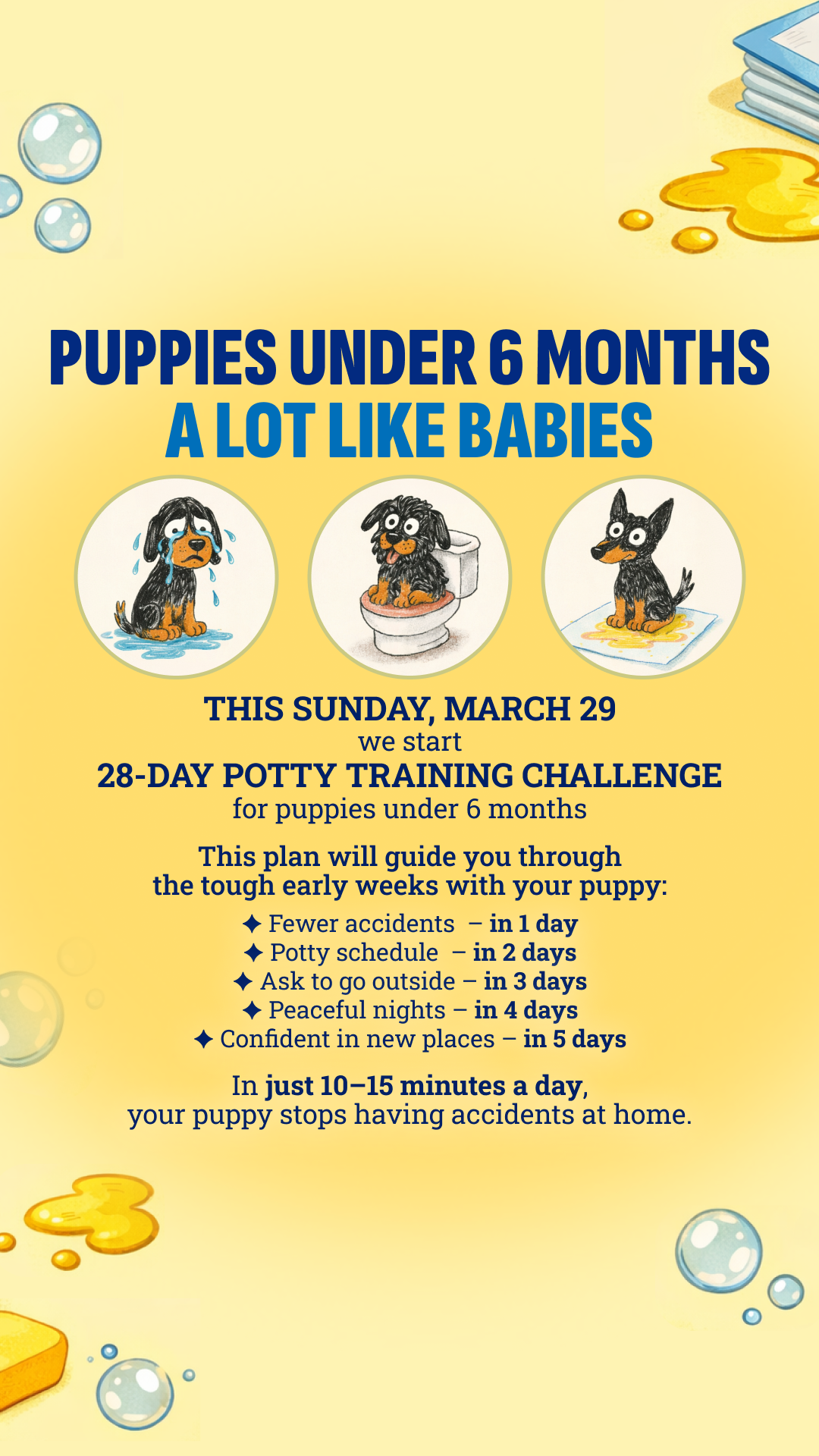 Woofz - Puppy Training Facebook ad