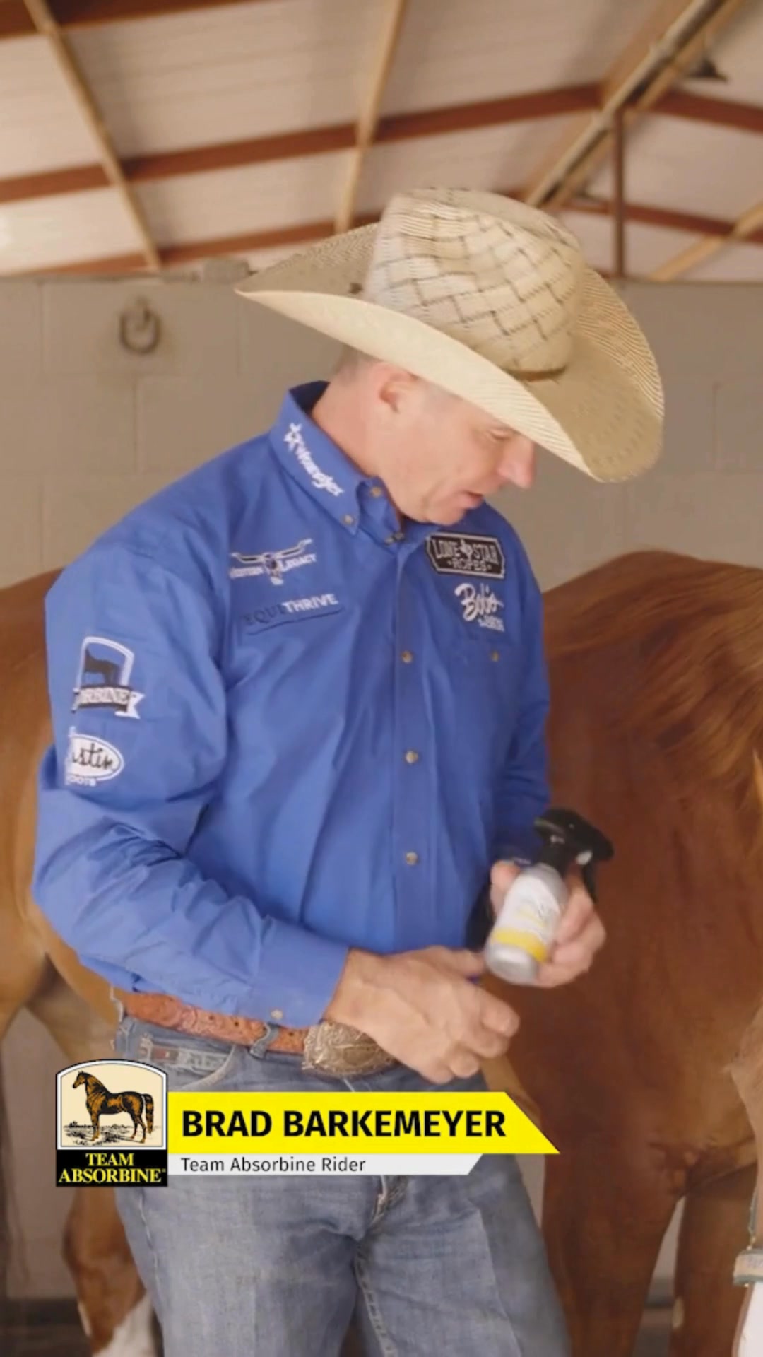 Absorbine Facebook ad from Jun 2, 2026