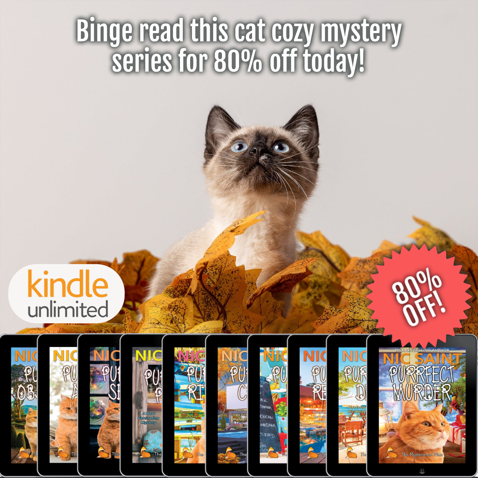 Nic Saint Author Facebook ad