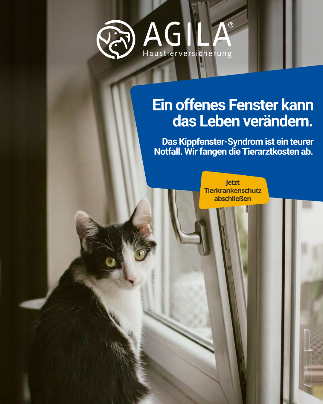 AGILA Haustierversicherung Facebook ad