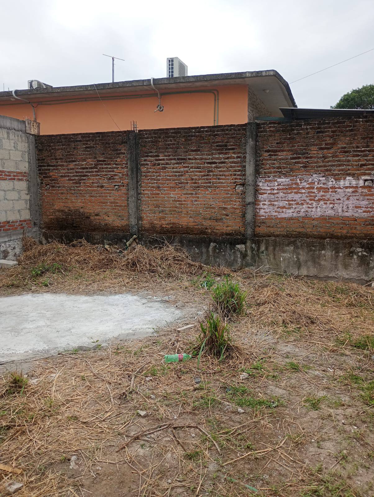 Rafael Quevedo Linares Facebook ad: SE VENDE TERRENO EN EL TEJAR ATRAZ EXACTAMENTE…