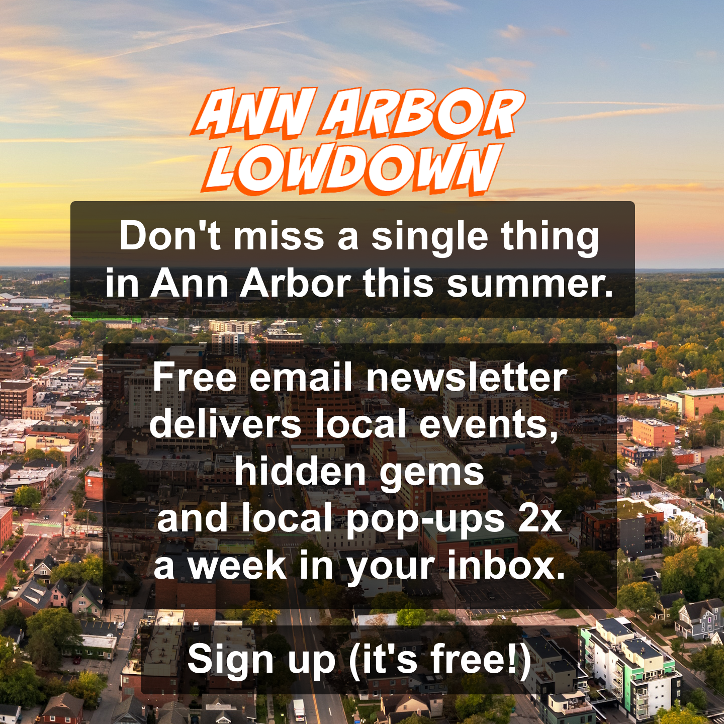 Ann Arbor Lowdown Facebook ad