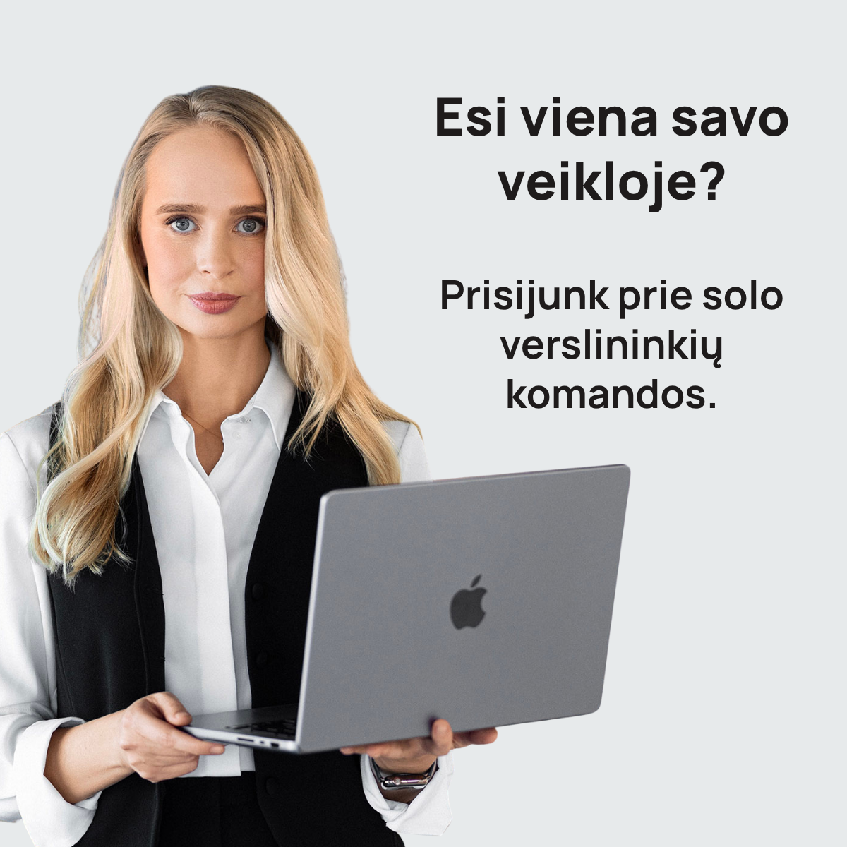 Verslo sparnai Facebook ad: LIKO 2 VIETOS