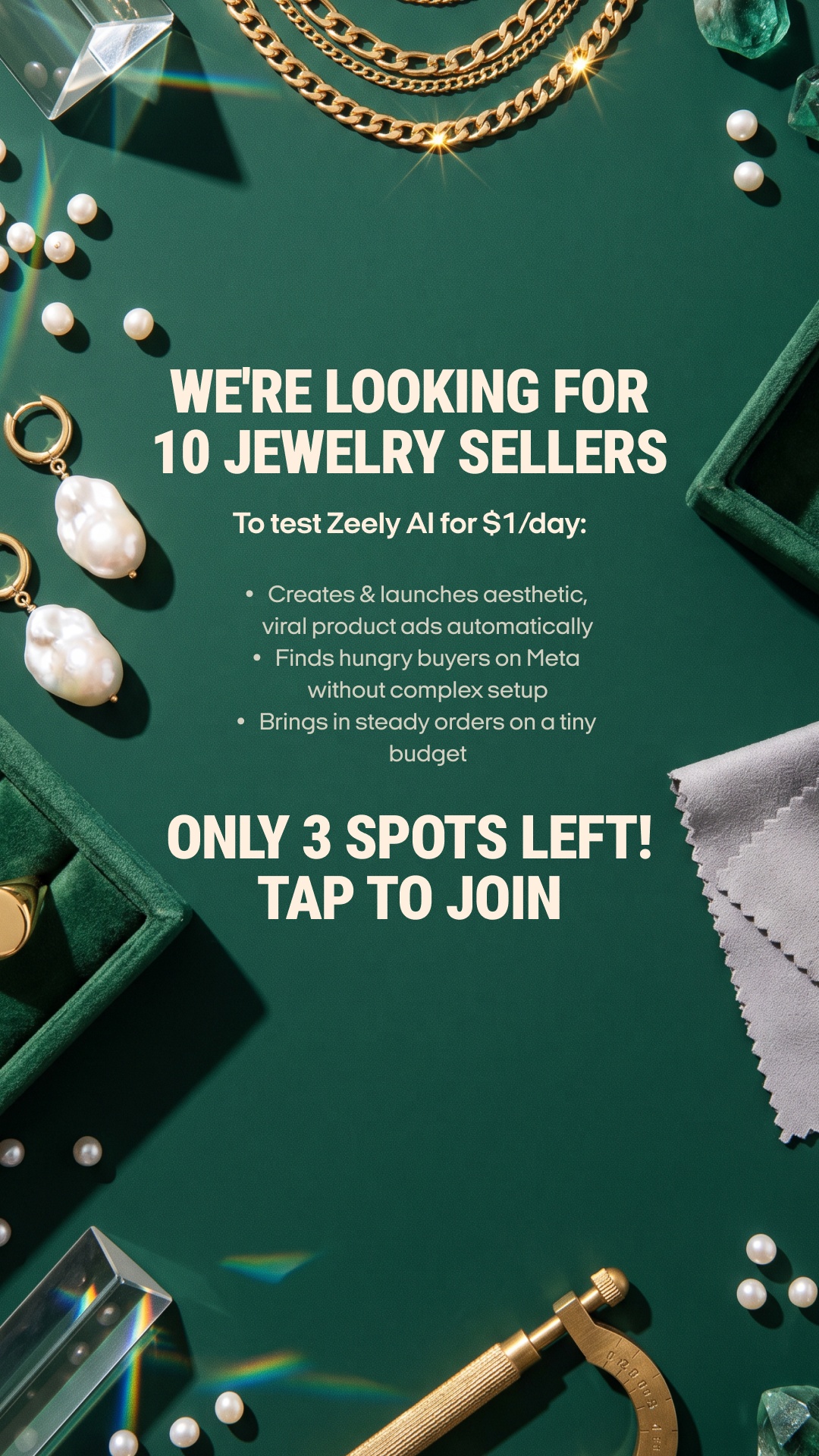 Zeely Facebook ad