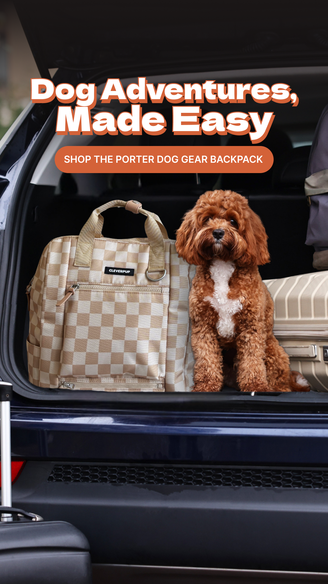 Cleverpup Facebook ad