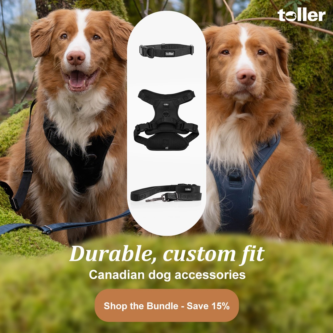 Toller Facebook ad from Jun 10, 2026