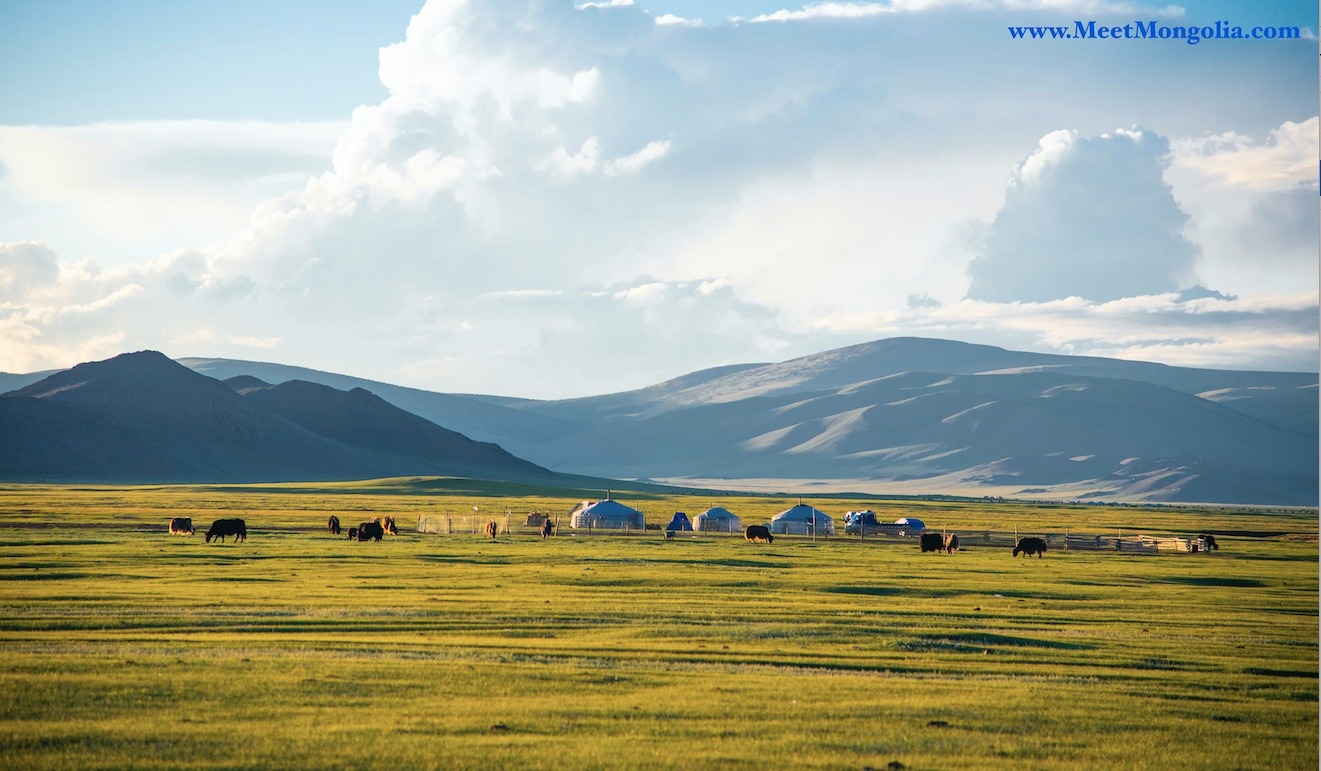 Meet Mongolia Tours Facebook ad: Mongolian Local Tour Operator.