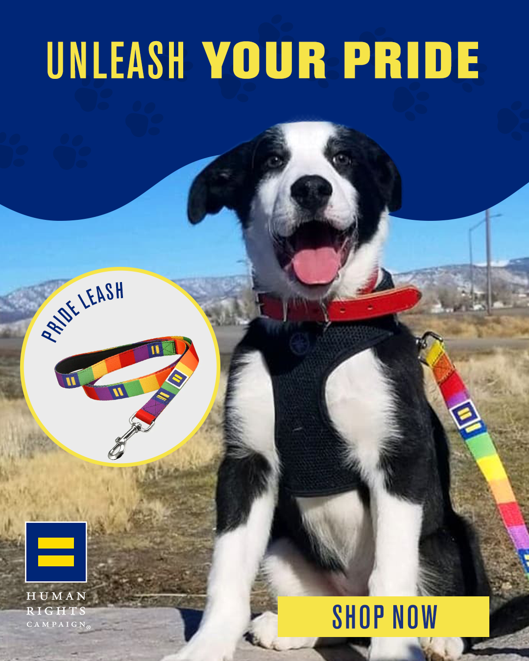 Human Rights Campaign Facebook ad