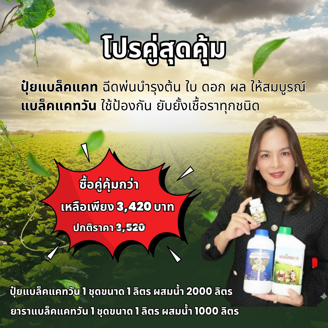 ปุ๋ยแบล็คแคท นวัตกรรม เพิ่มผลผลิต Facebook ad