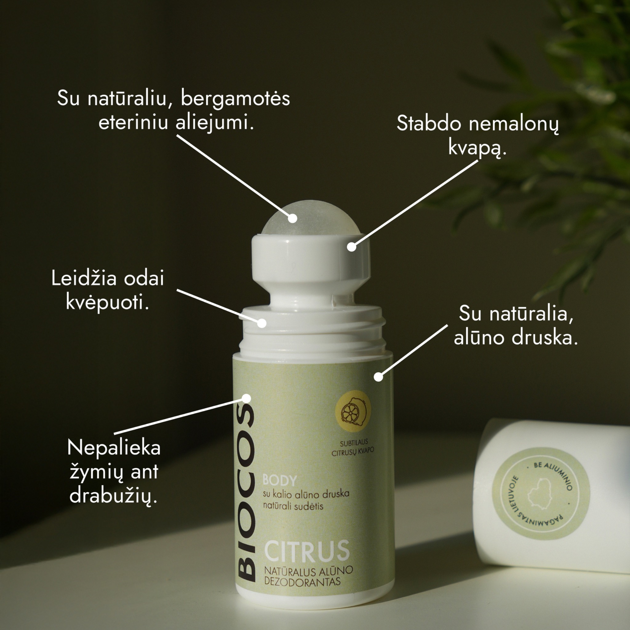 biocos.lt - natūrali lietuviška kosmetika Facebook ad
