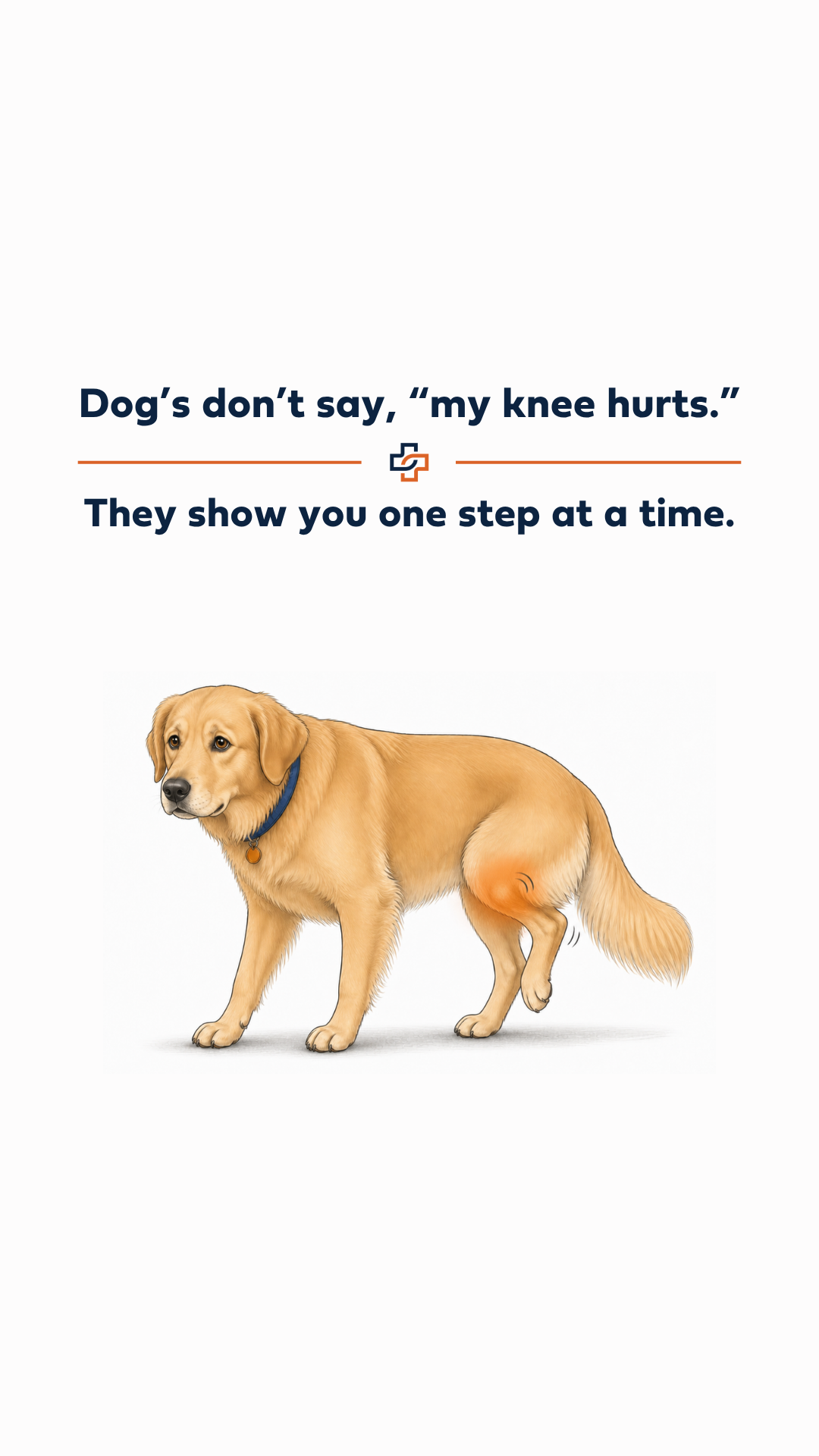 COVE Pet Care Facebook ad: Considering TPLO for Your Dog?