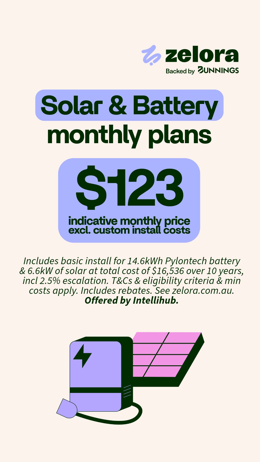 Bunnings Warehouse Australia Facebook ad