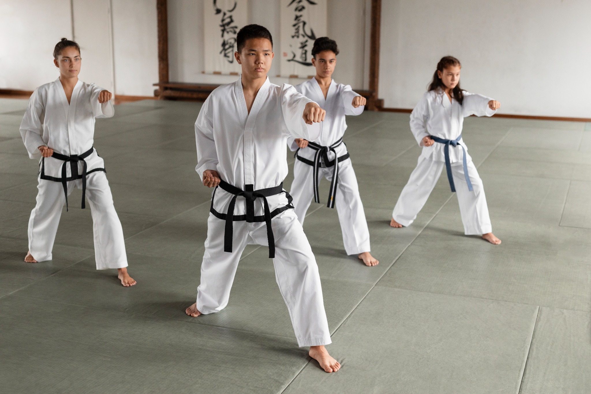 Karate Academy of Power - Hayashiha Queensland Facebook ad