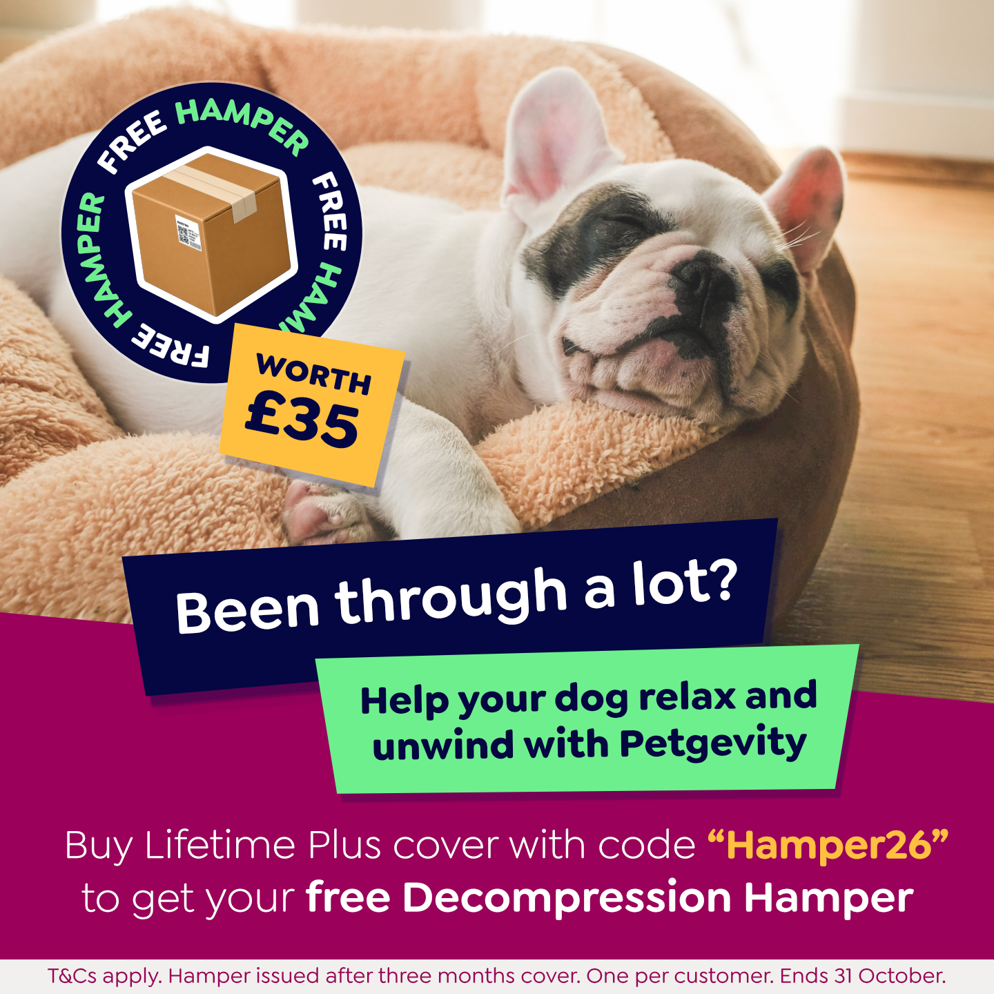 Petgevity UK Facebook ad: The right treat with the right cover