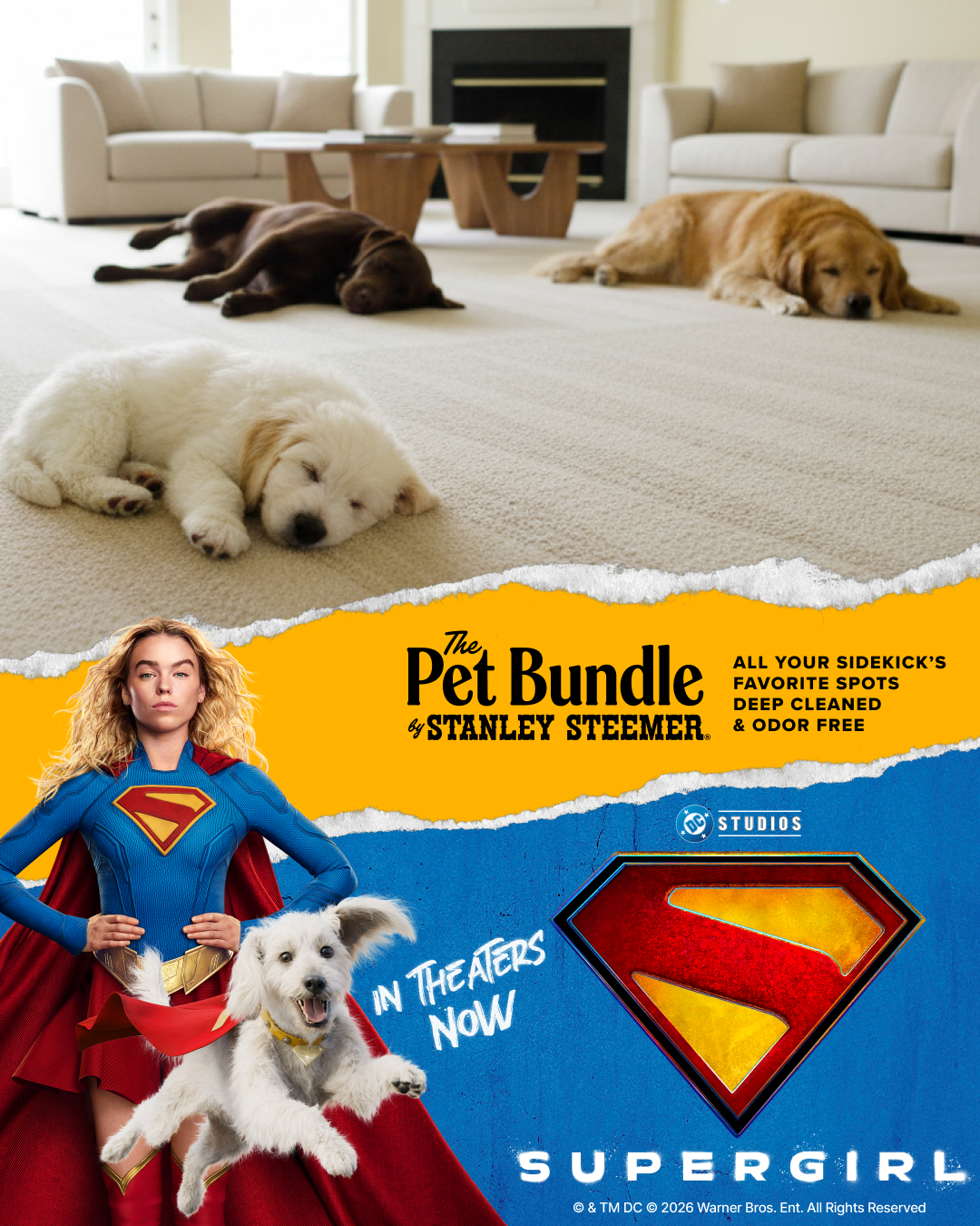 Stanley Steemer Facebook ad