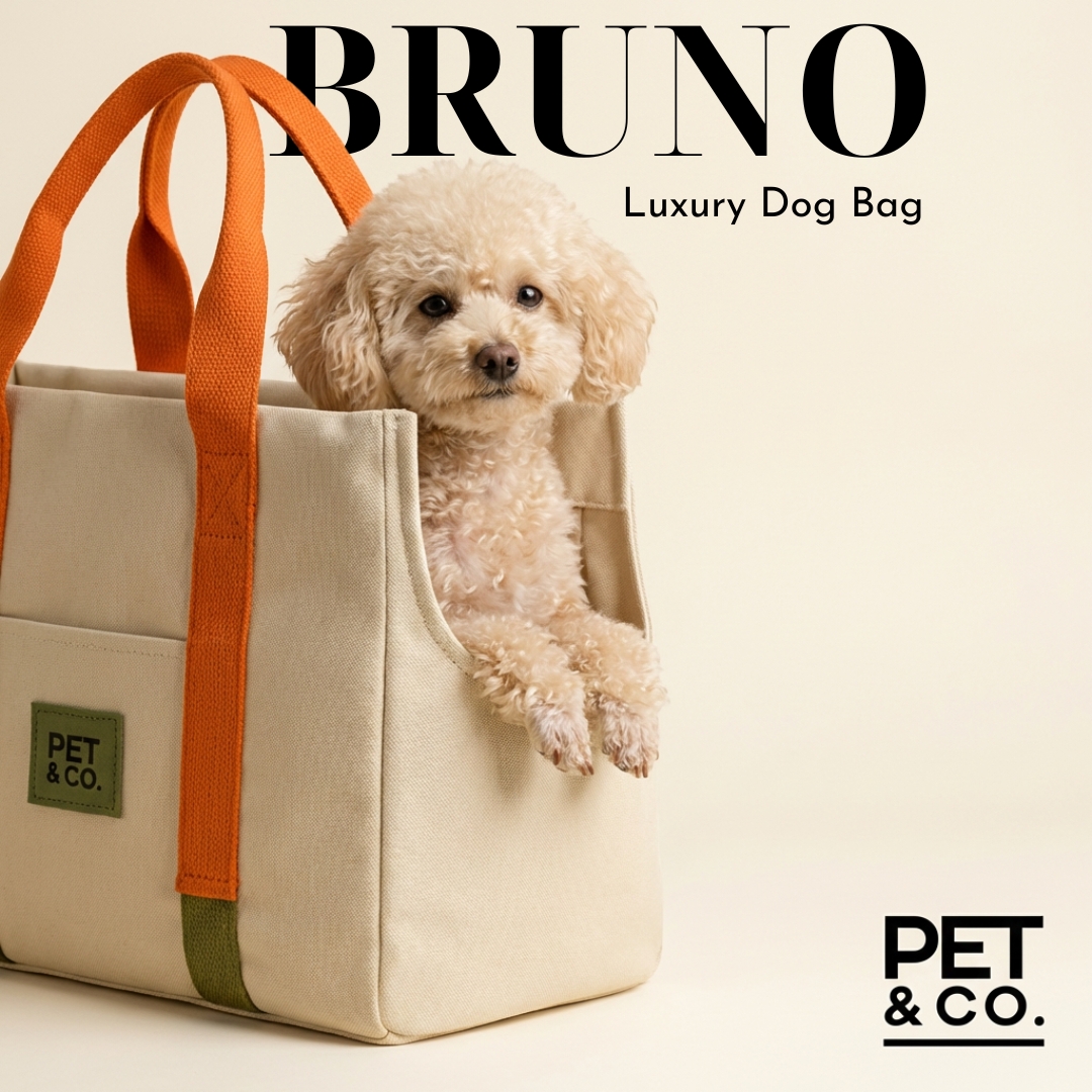 PET & Co. Zürich Facebook ad from Apr 1, 2026