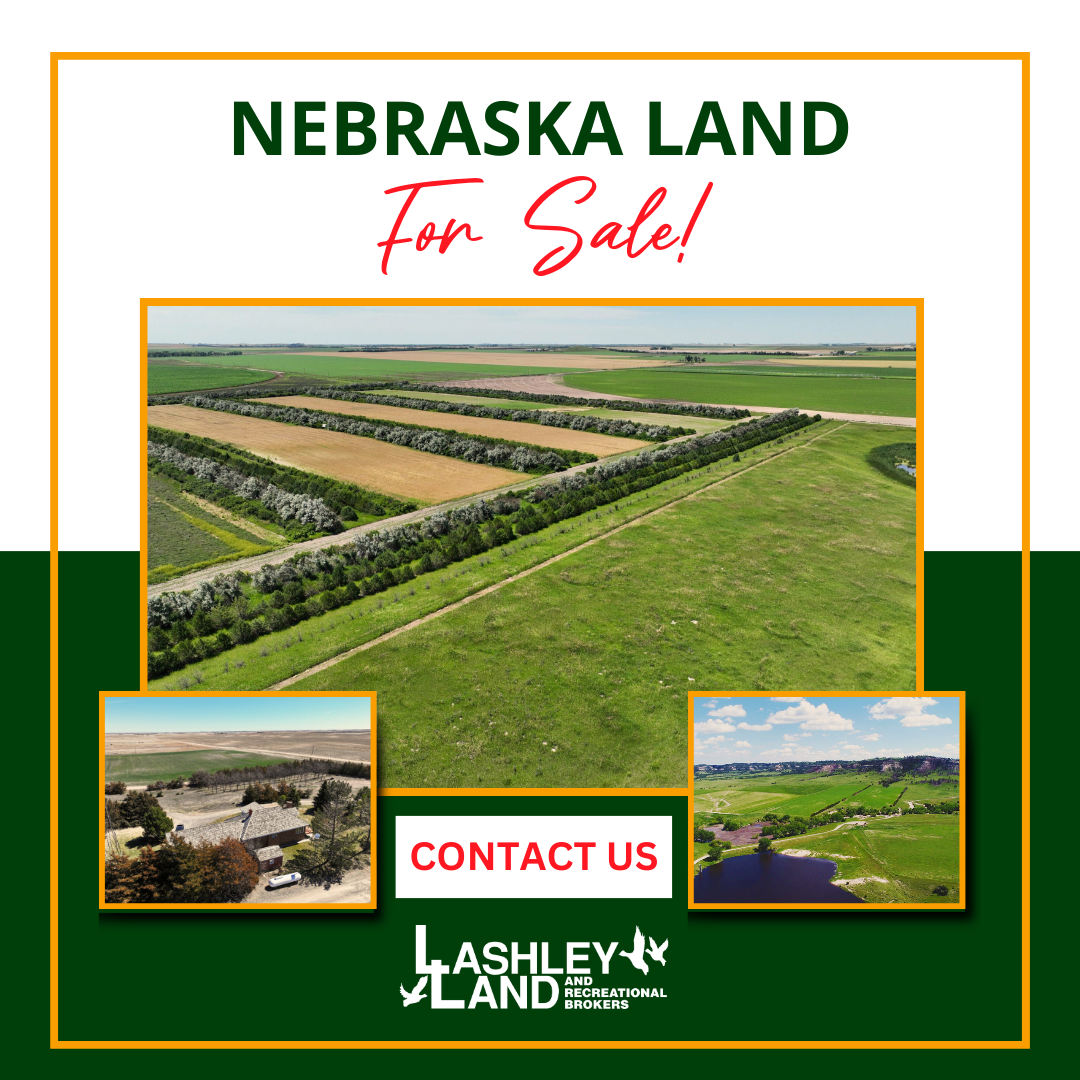 Lashley Land and Recreational Brokers Facebook ad