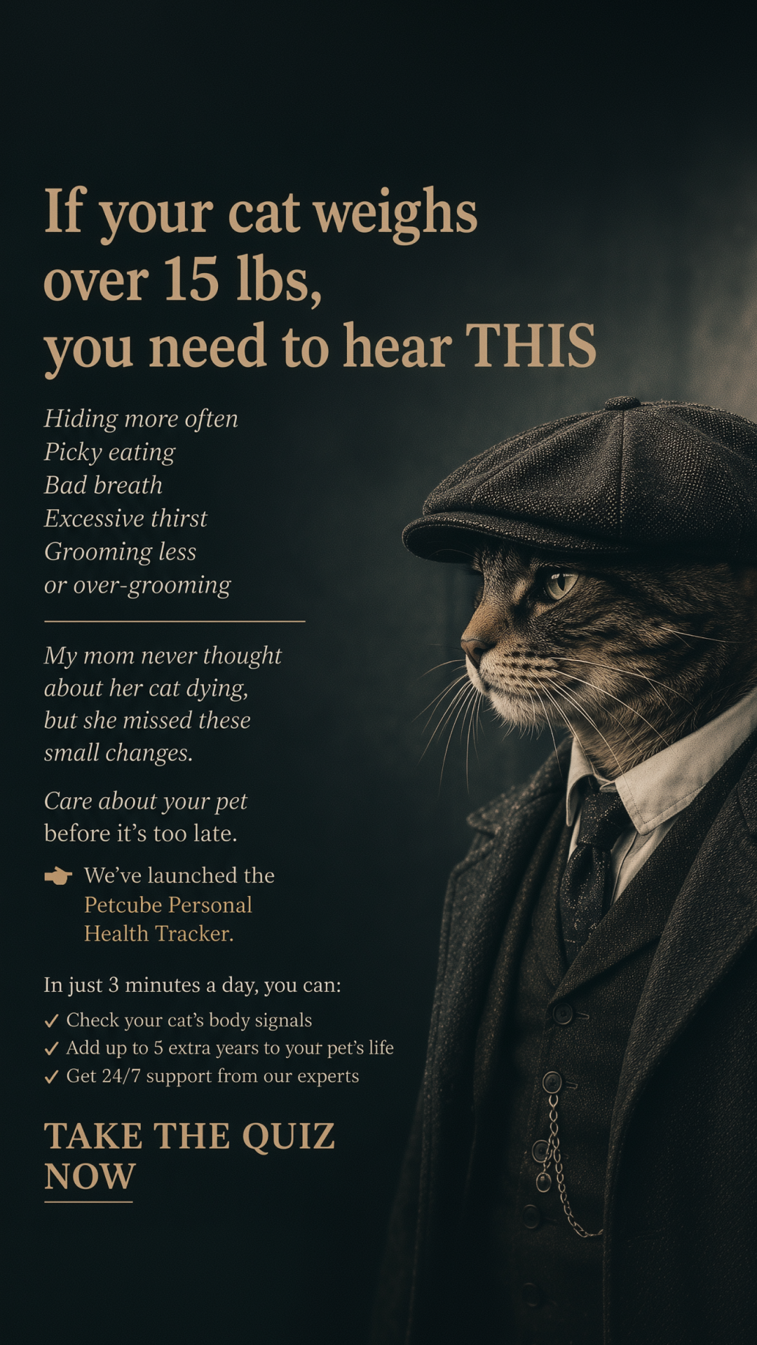 Petcube Facebook ad