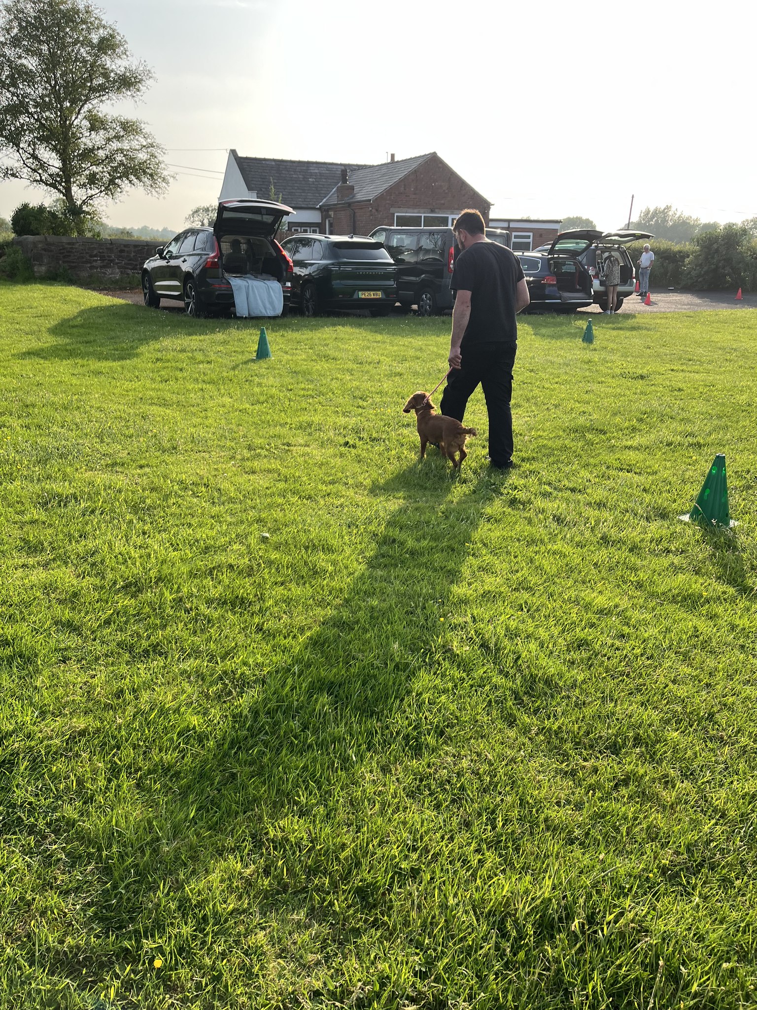 FOUR PAWS DOG Training-Leyland Facebook ad