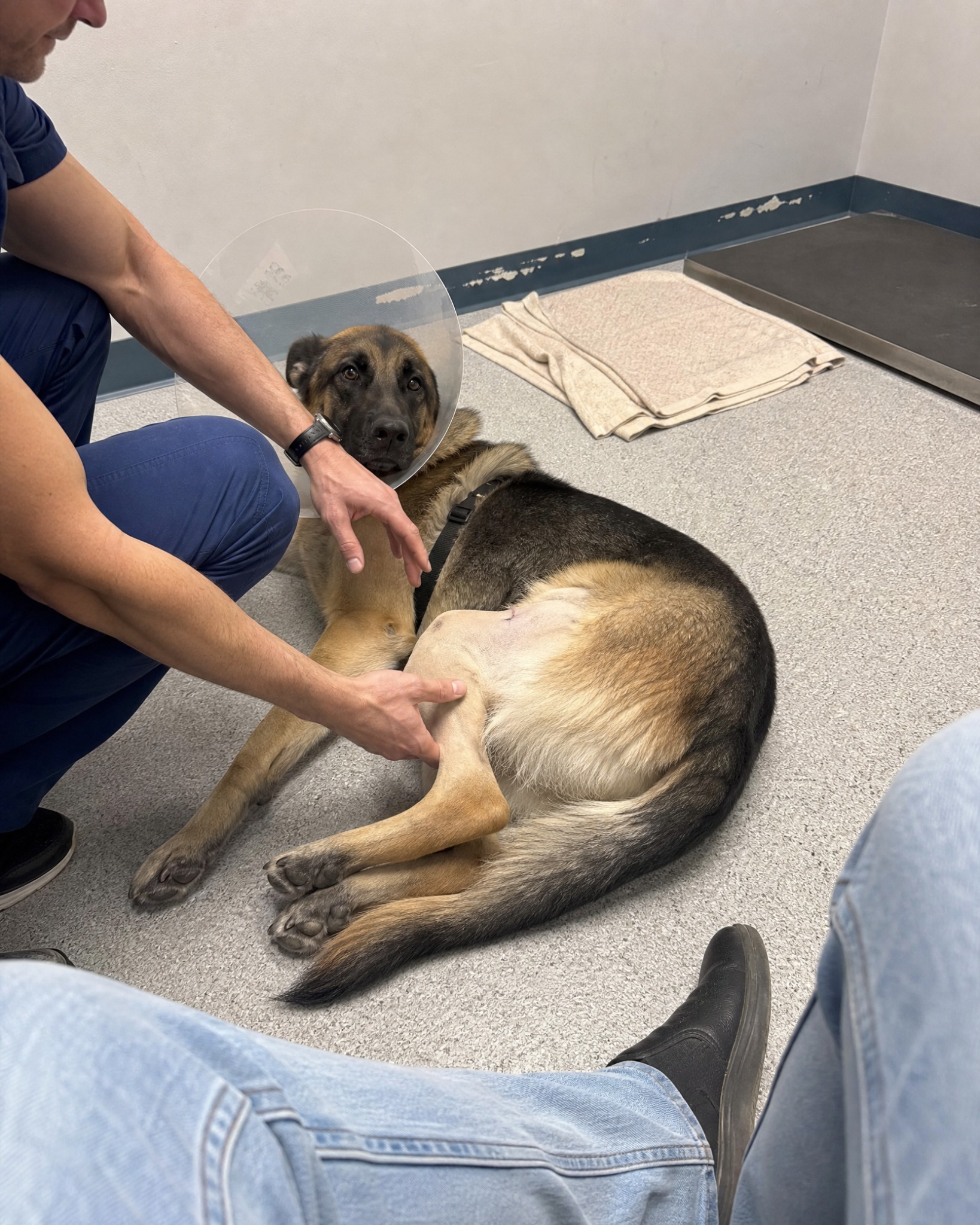 Dr Andrew Ridder Facebook ad: I’m a Vet. I Was Wrong About Glucosamine.