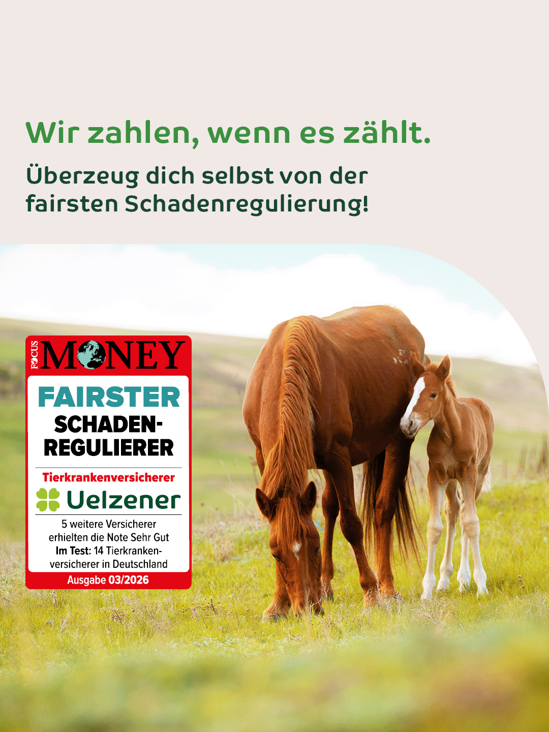Uelzener Versicherungen Facebook ad