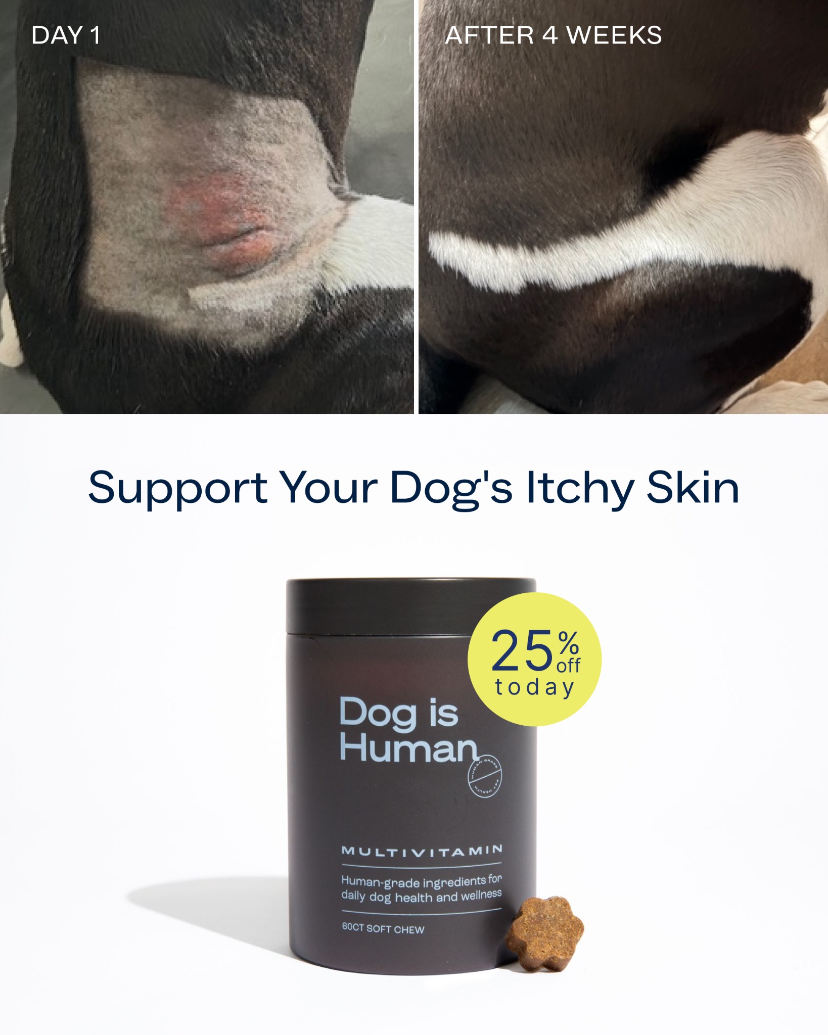 Dog is Human Facebook ad