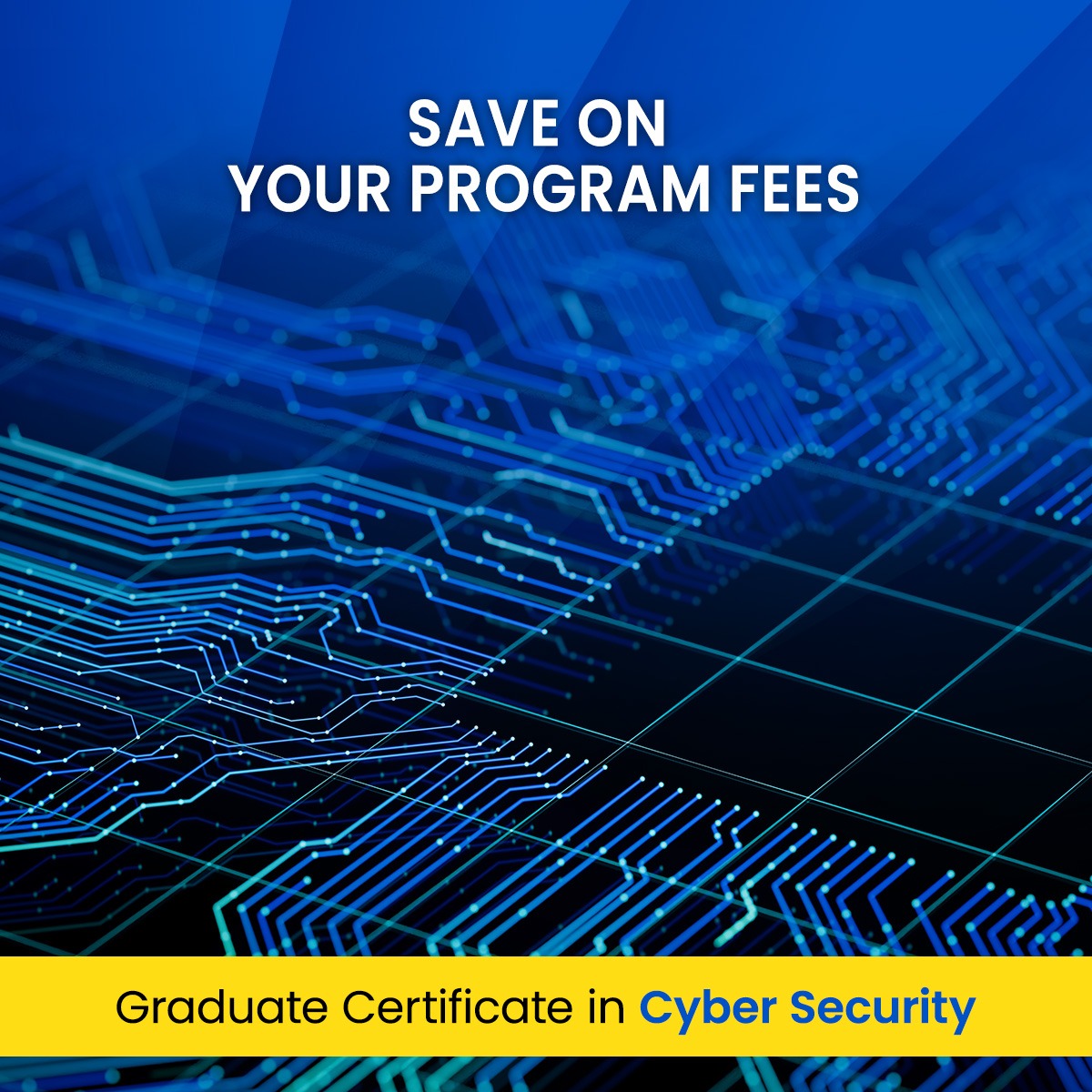 University of the Sunshine Coast Facebook ad
